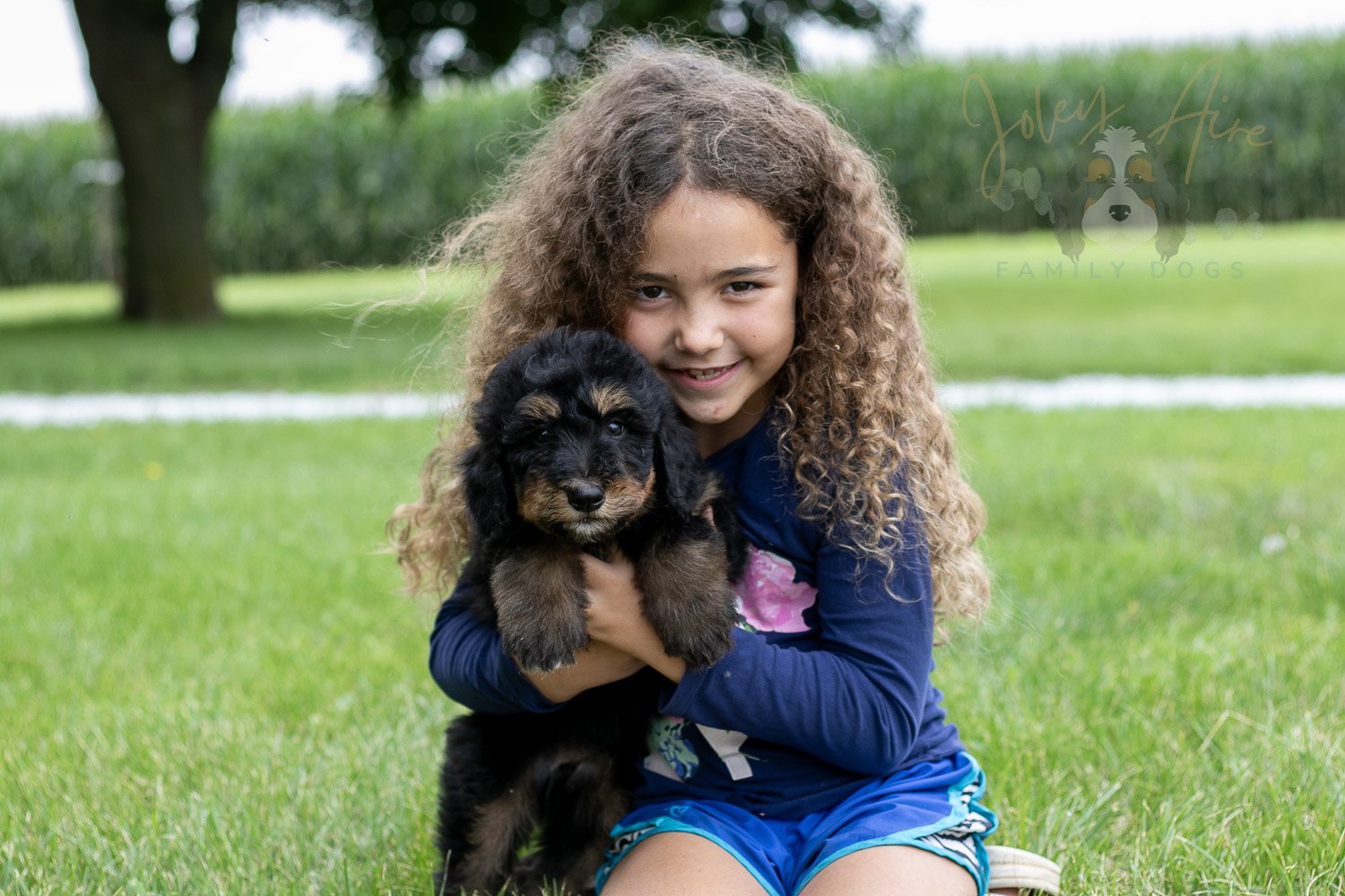 Gilbert Bernedoodle Puppy-49.jpg