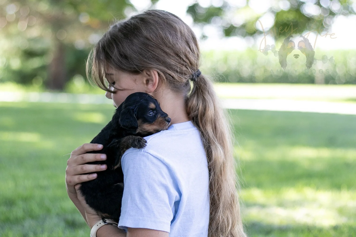 Mini Mae Bernedoodle Puppy-489.jpg