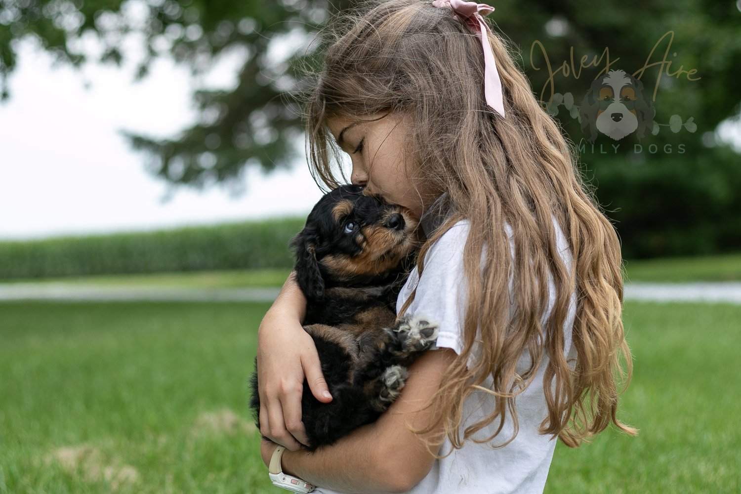 Mini Mae Bernedoodle Puppy-20.jpg