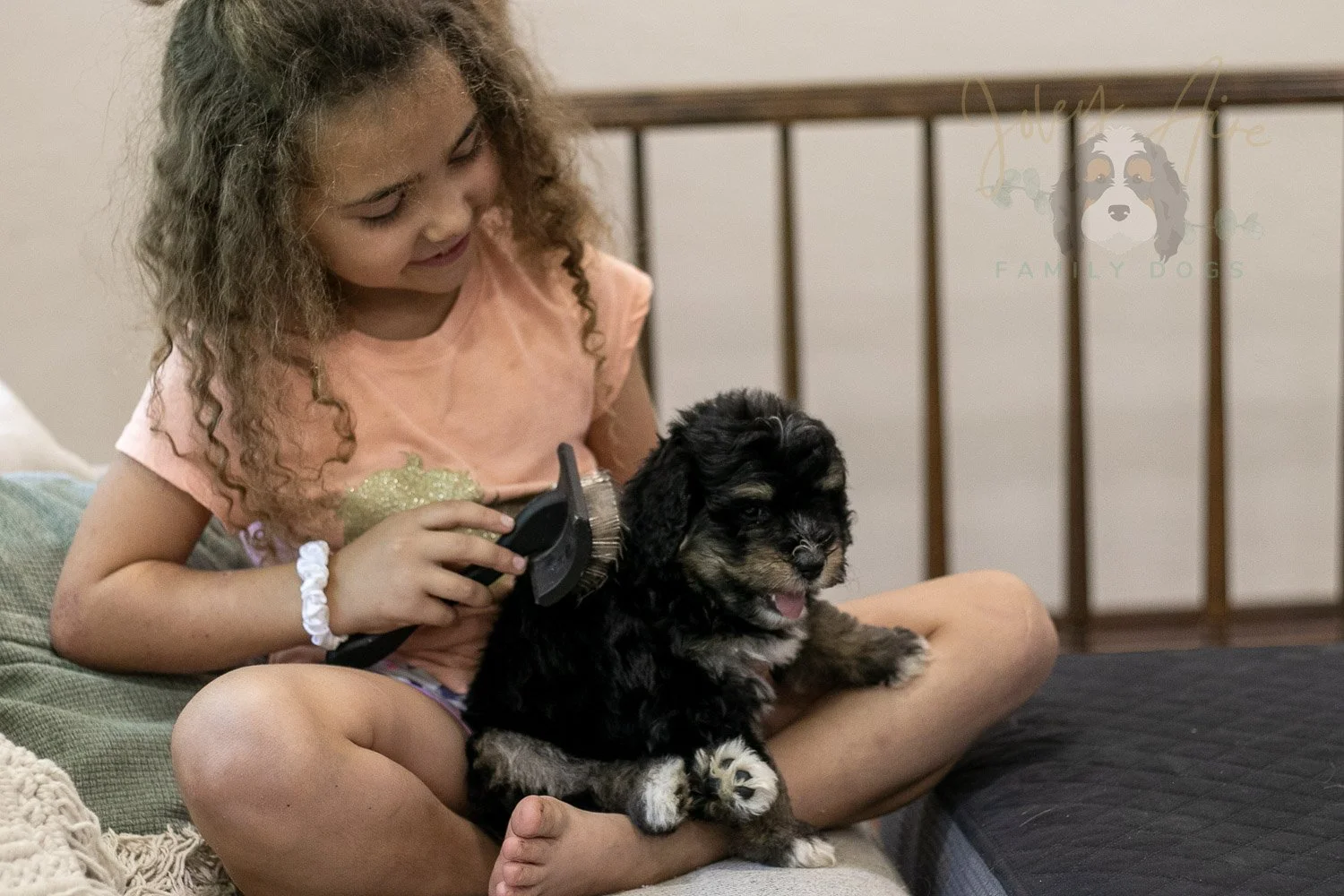 Georgia Bernedoodle Puppy-433.jpg