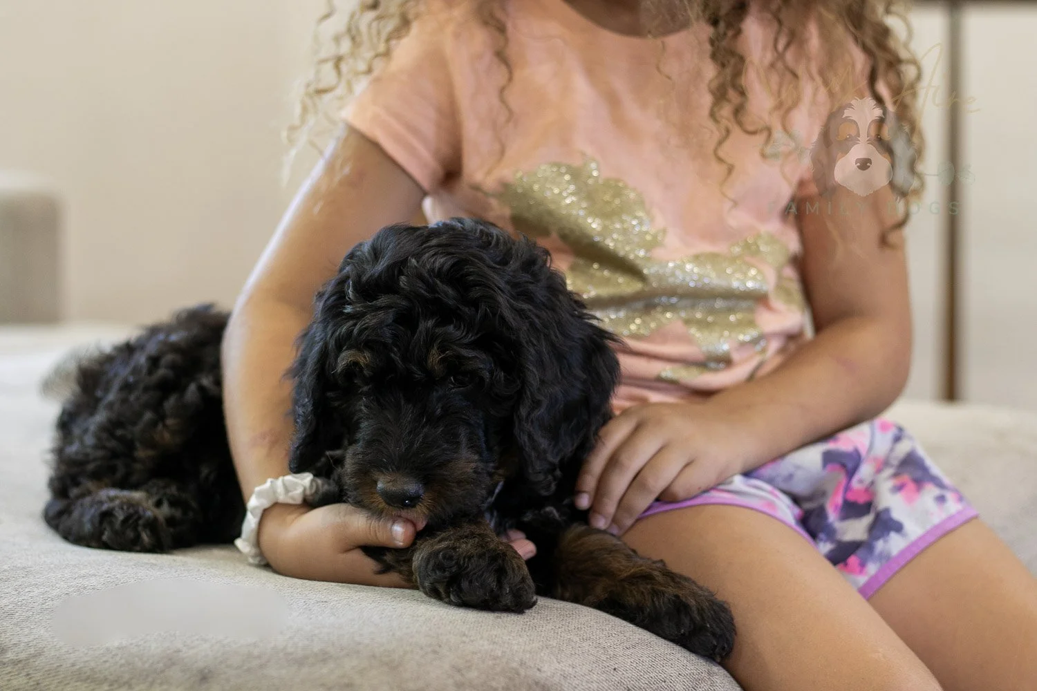 Denali Bernedoodle Puppy-547.jpg