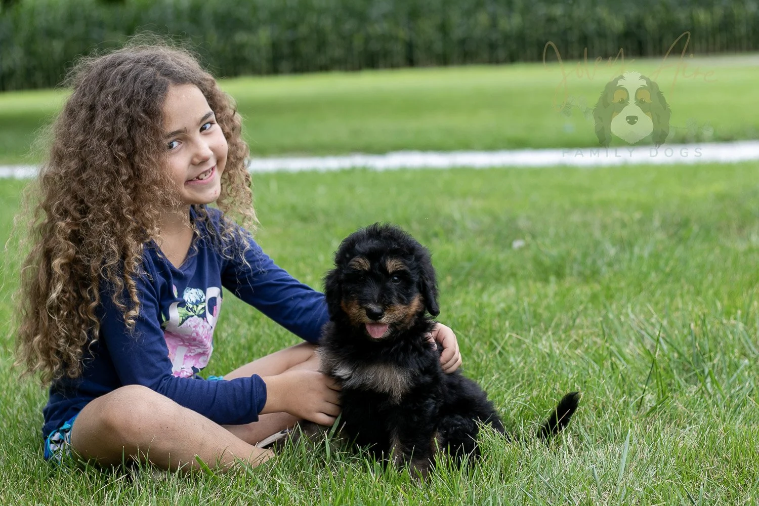 Gilbert Bernedoodle Puppy-53.jpg