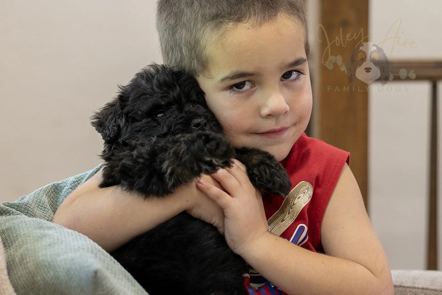 Andy Bernedoodle Puppy-281.jpg