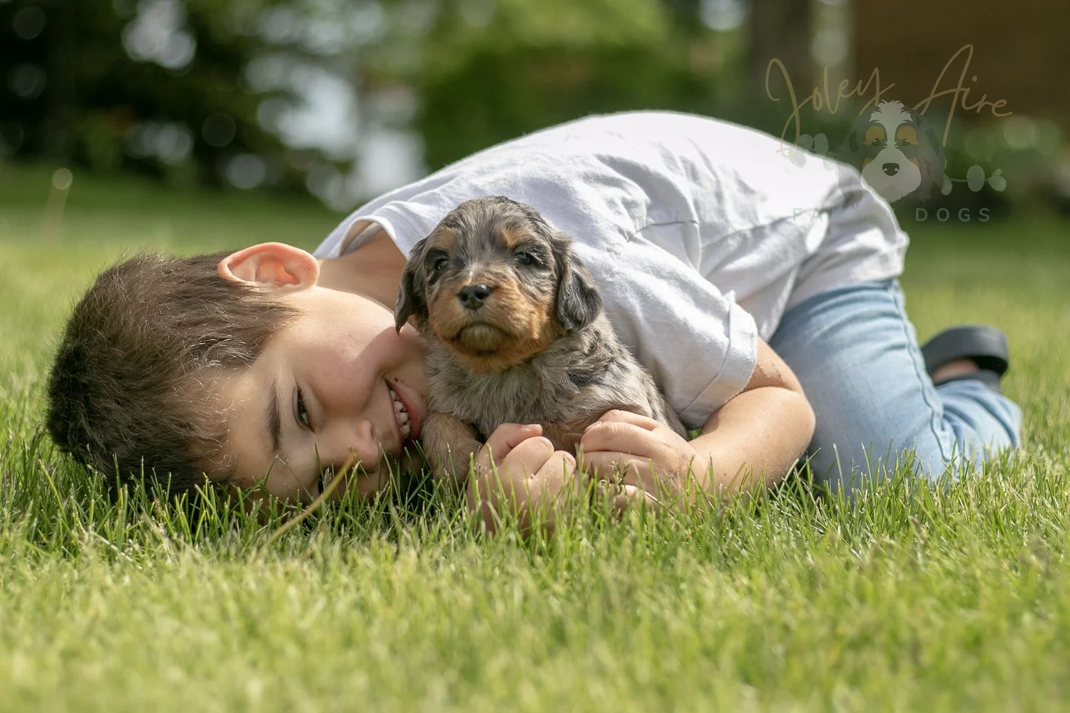 Ukelele Bernedoodle Puppy-26.jpg