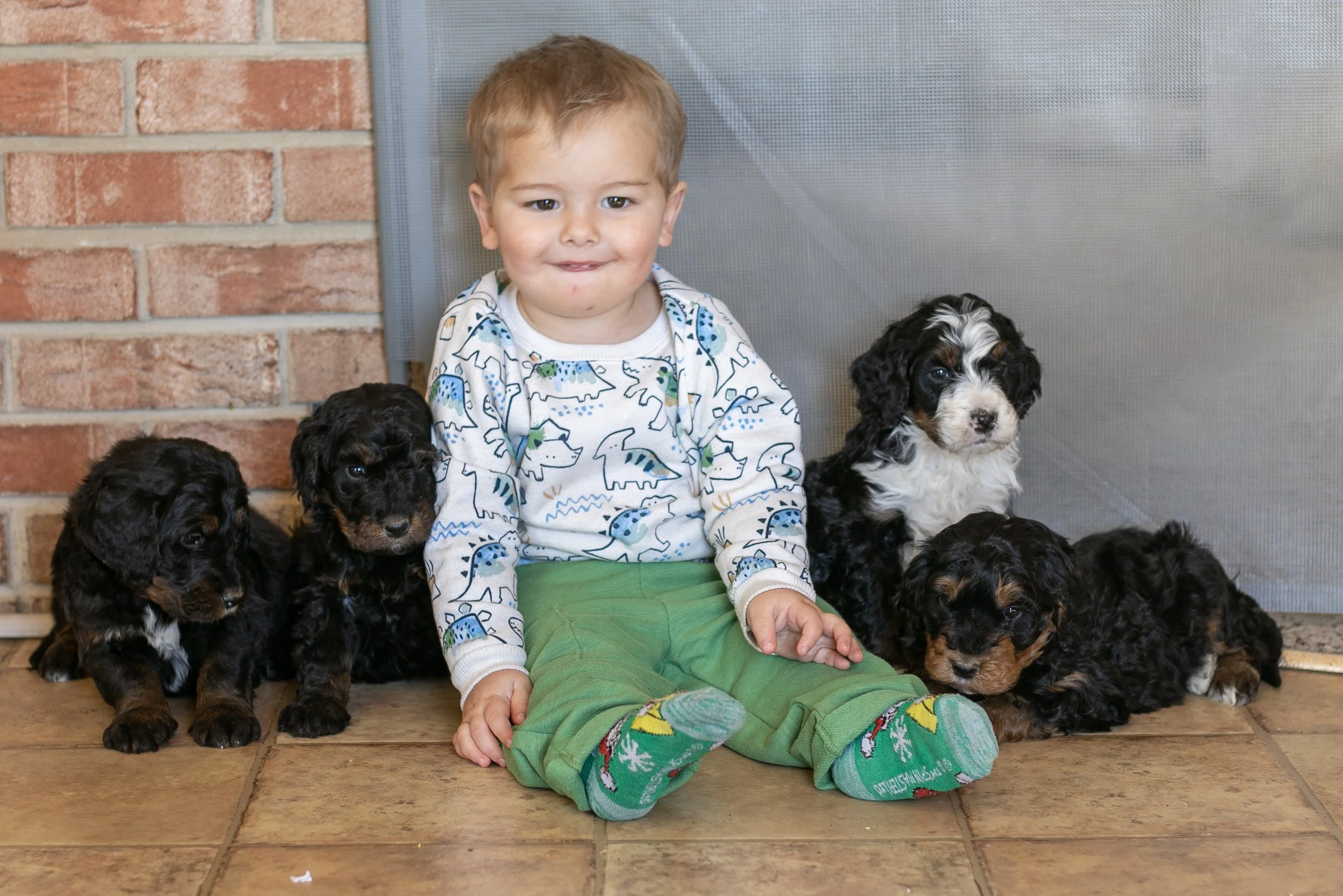 Whole Litter Disney Princess Litter-16.jpg