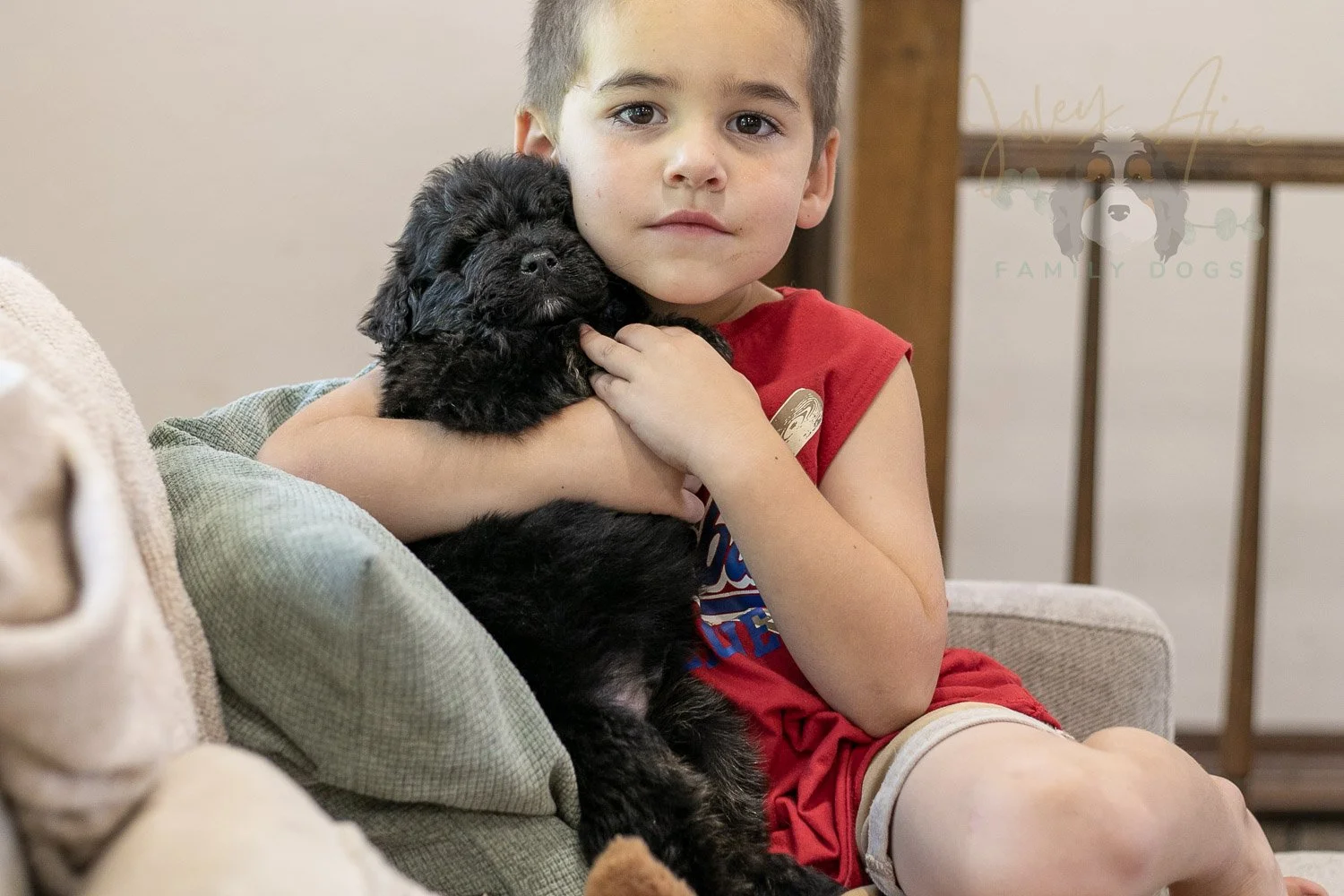 Andy Bernedoodle Puppy-282.jpg