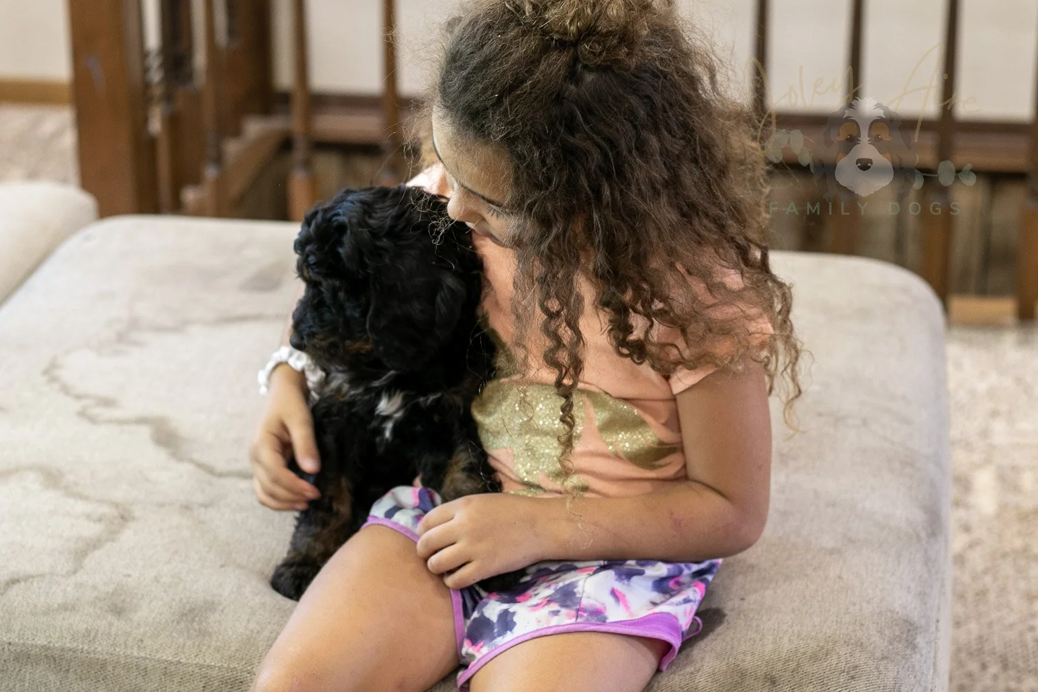 Denali Bernedoodle Puppy-538.jpg