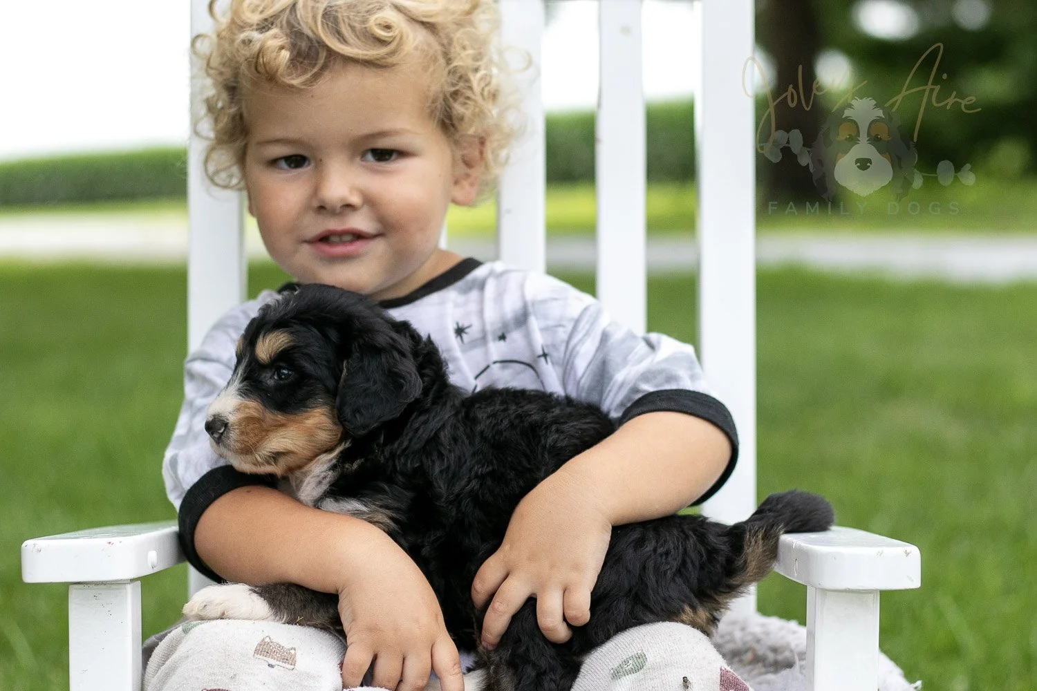 Walter Shirley Bernedoodle Puppy-886.jpg