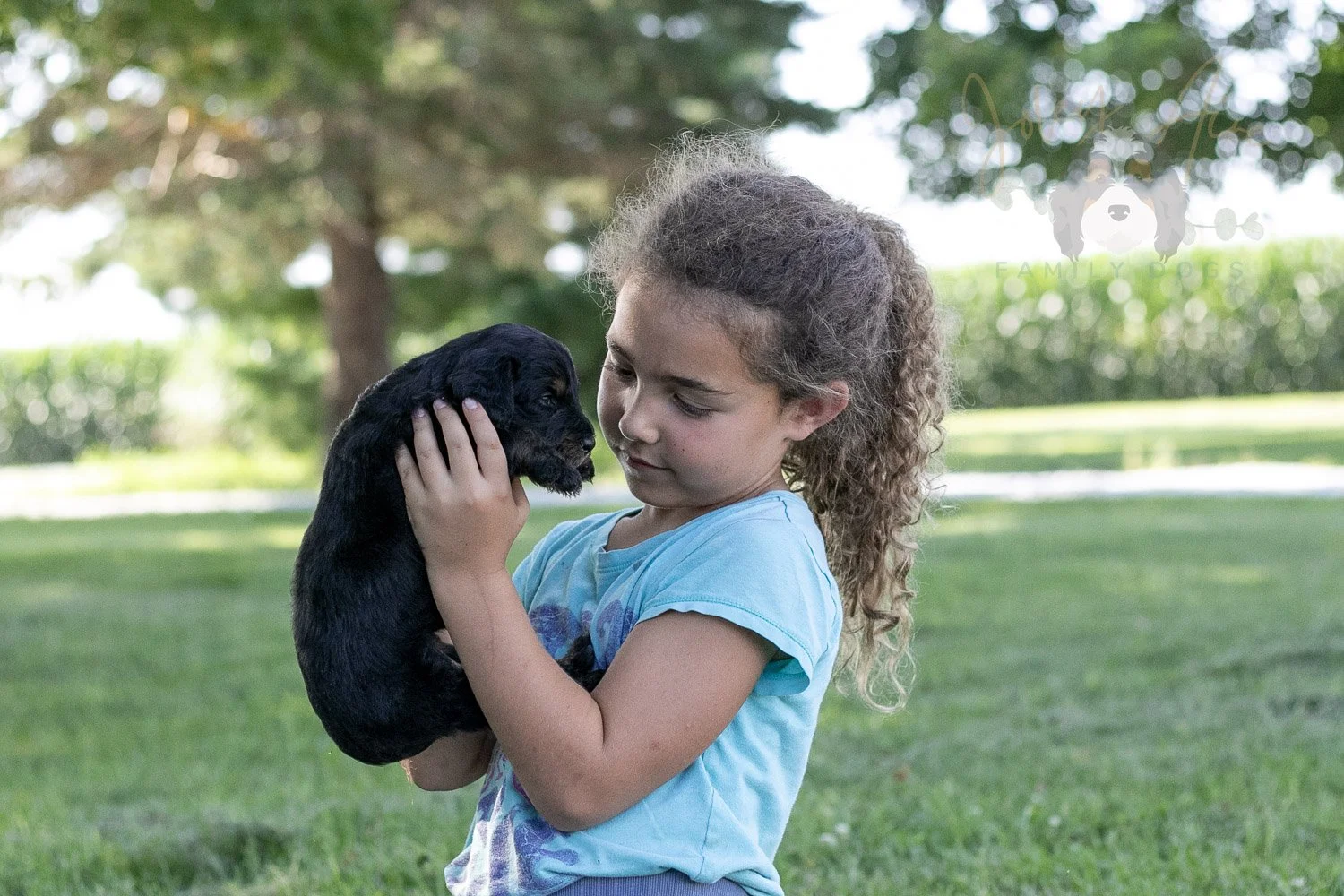 Zion Bernedoodle Puppy-343.jpg