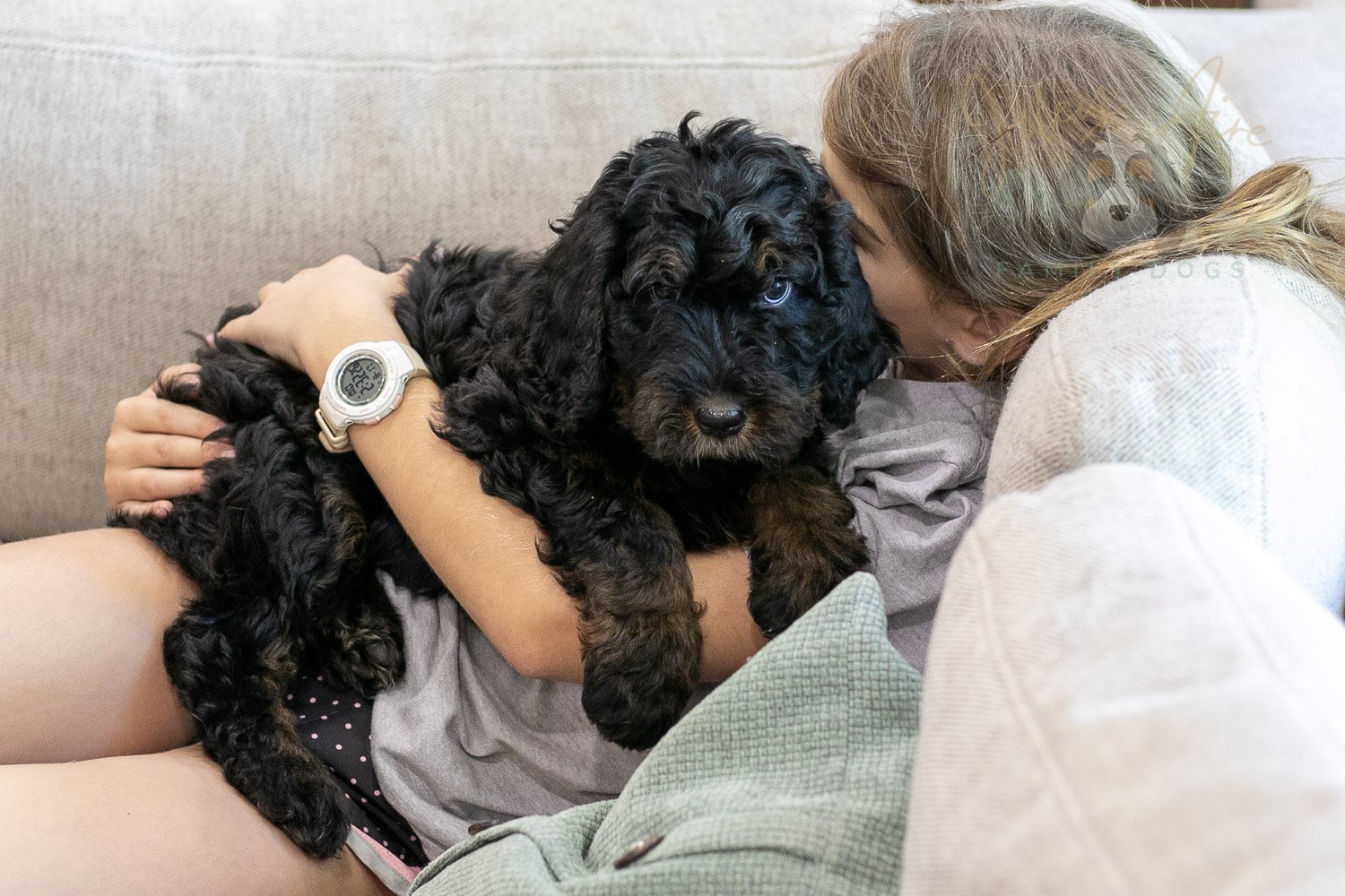 Acadia Bernedoodle Puppy-490.jpg