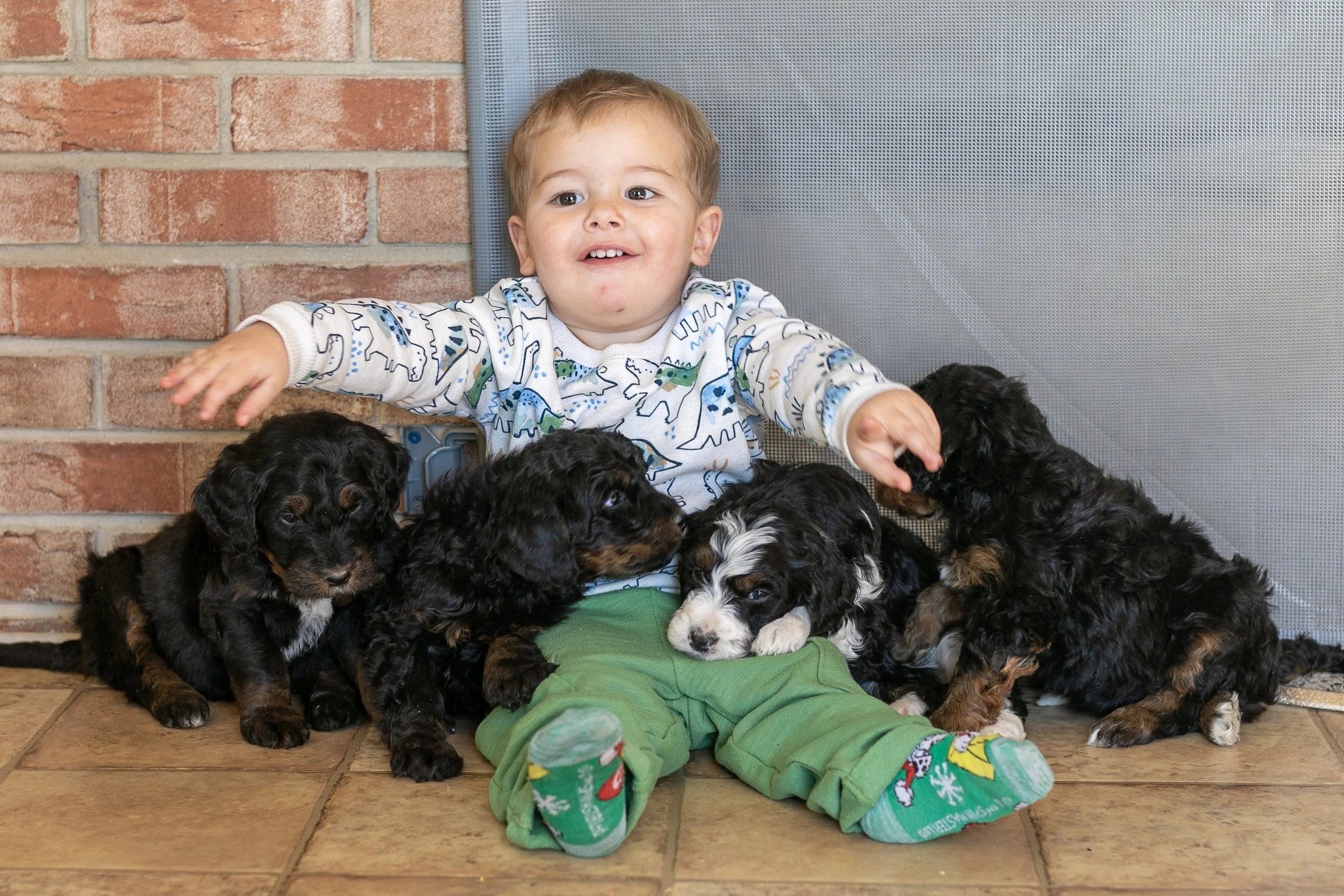 Whole Litter Disney Princess Litter-09.jpg