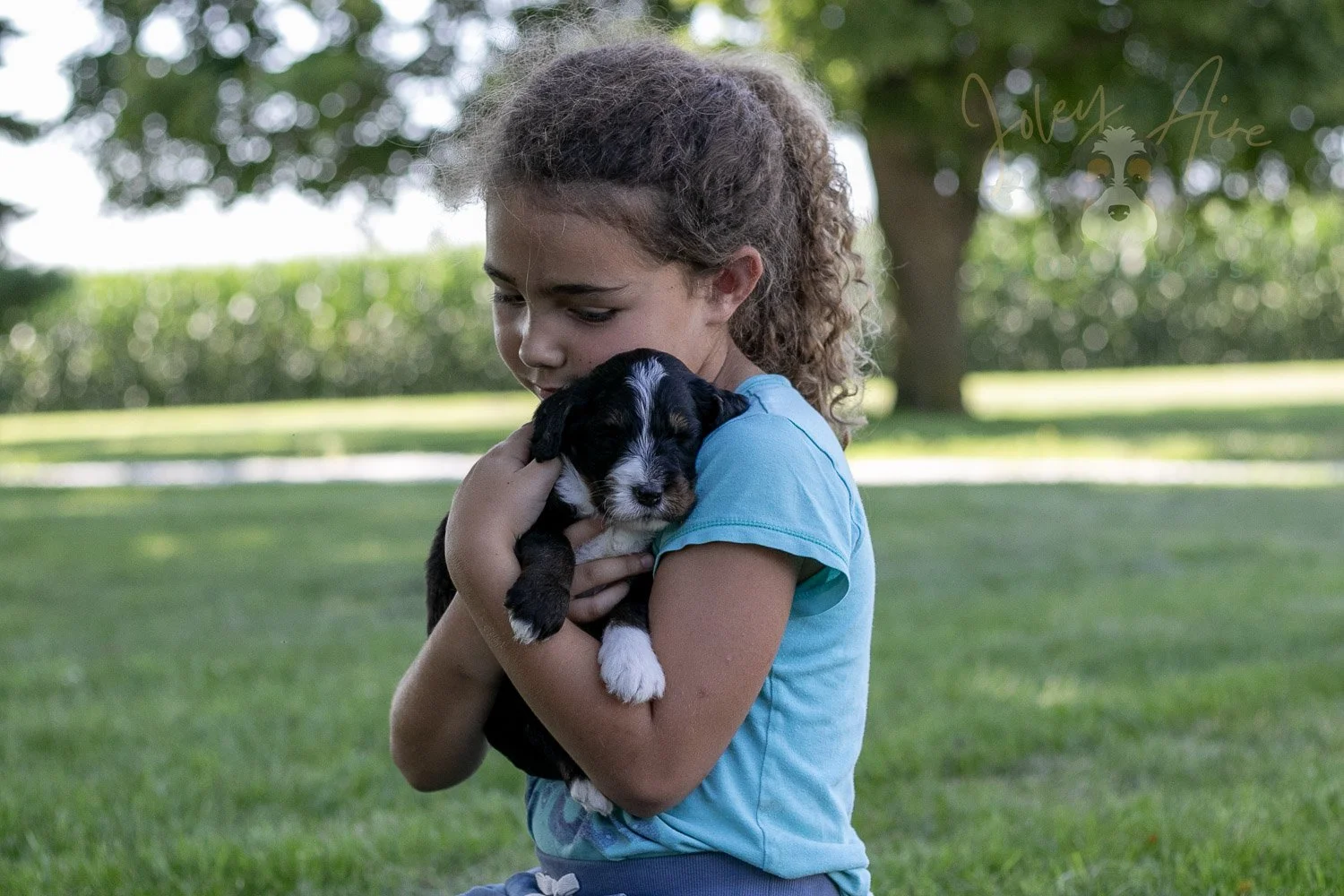 Yosemite Bernedoodle Puppy-372.jpg