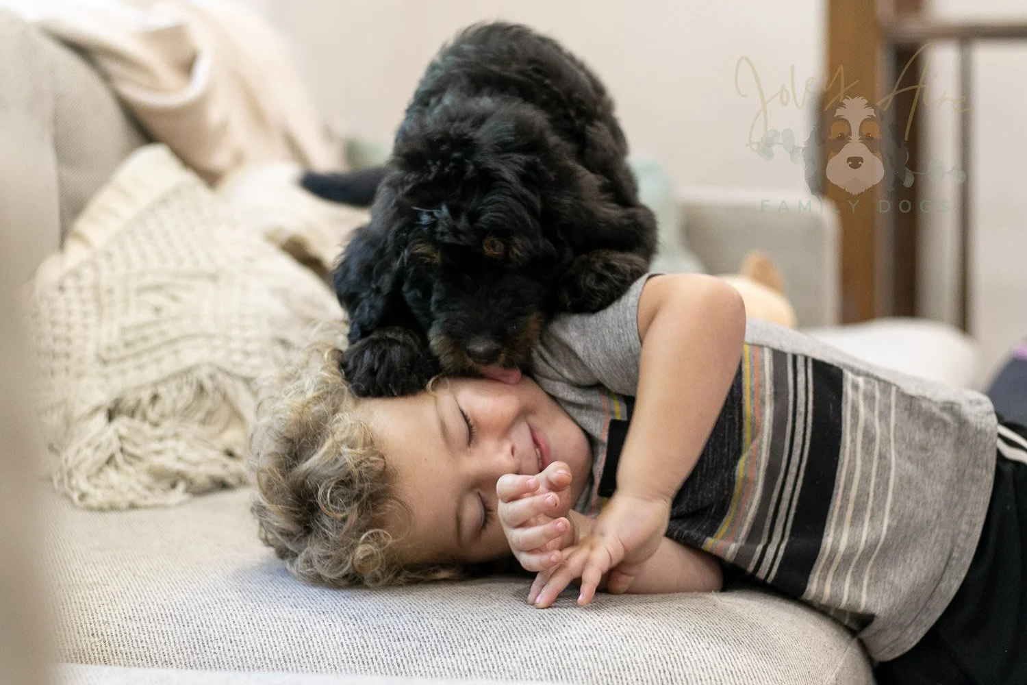 Olympic Bernedoodle Puppy-458.jpg