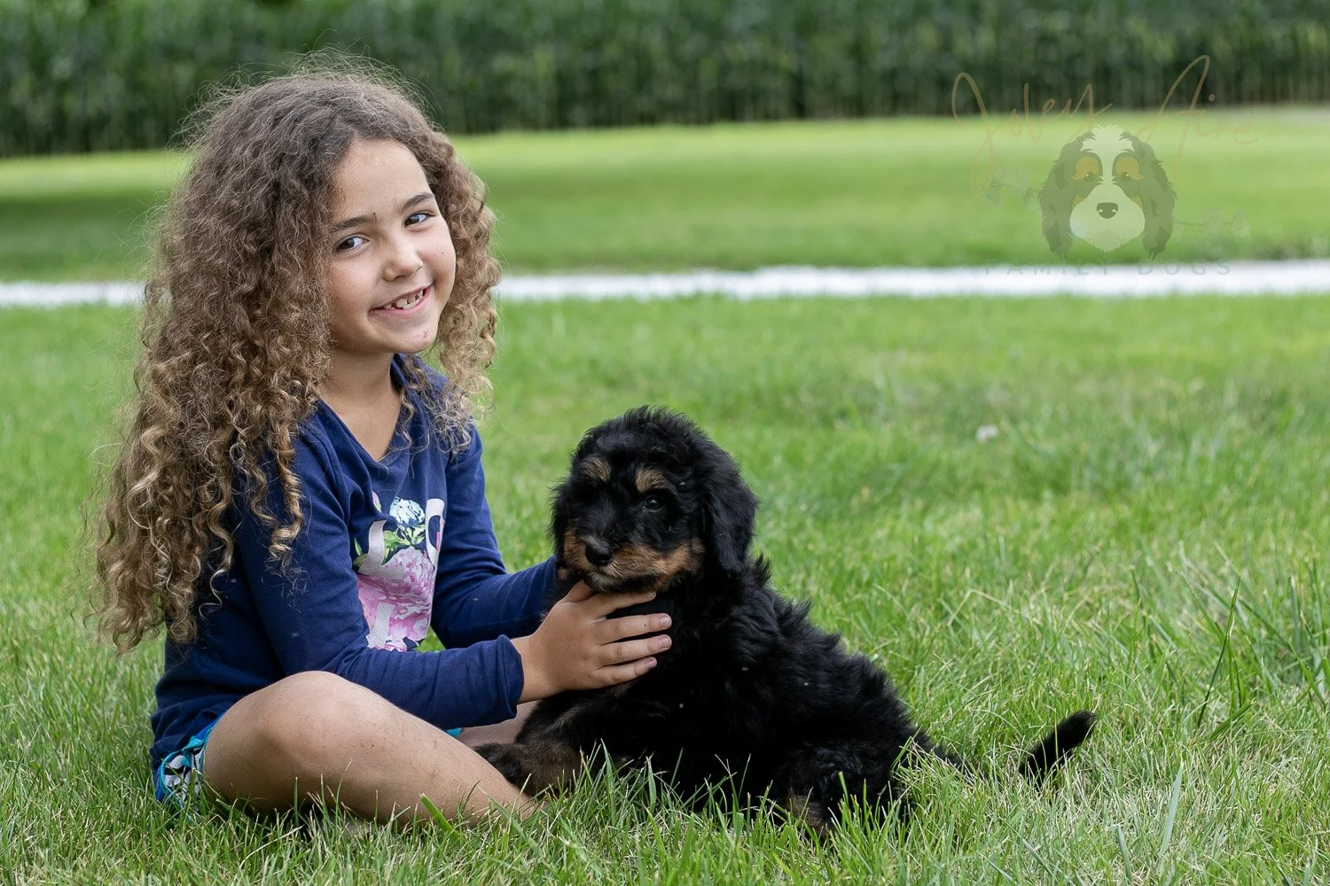 Gilbert Bernedoodle Puppy-52.jpg