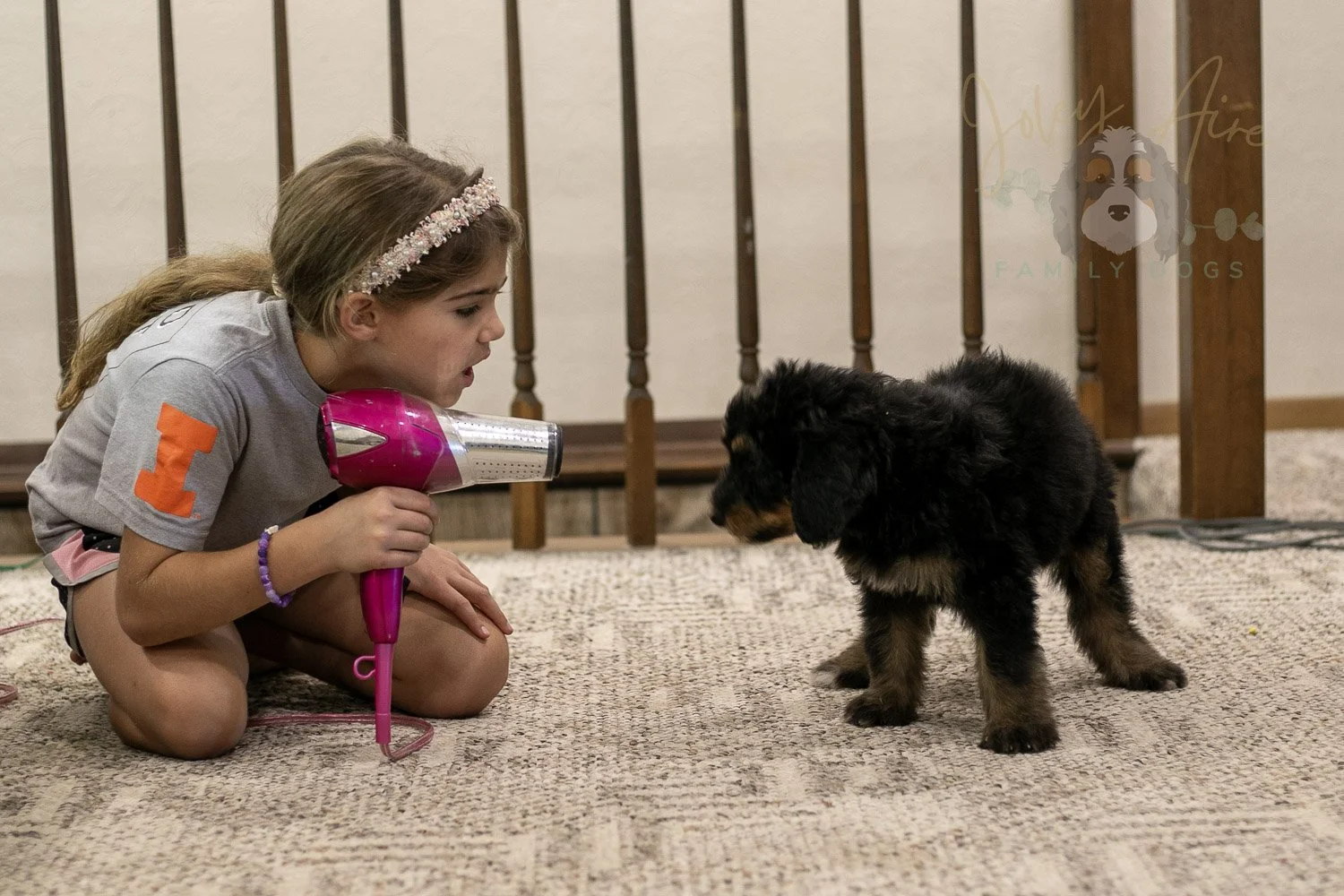 Gilbert Bernedoodle Puppy-346.jpg