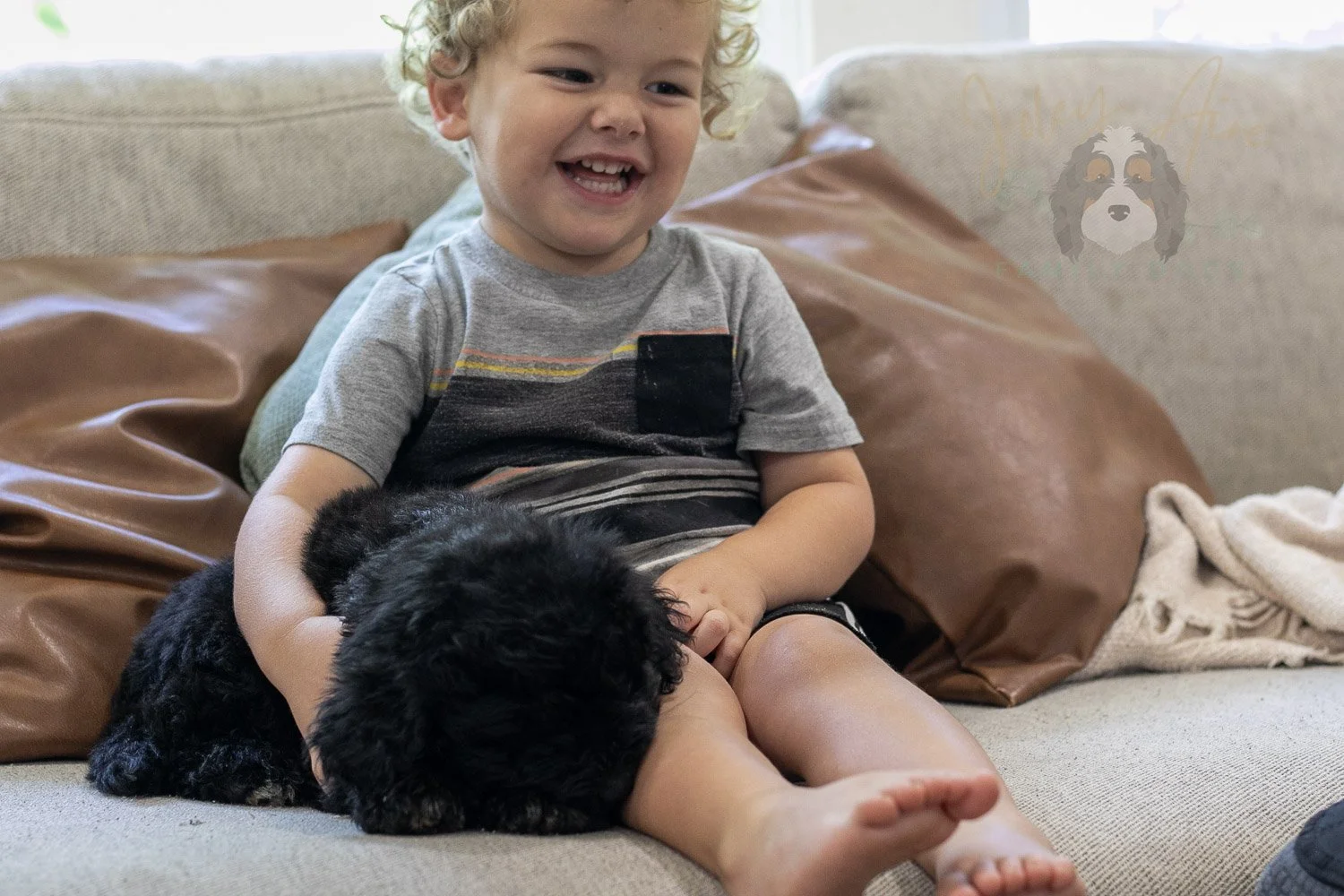 Claude Bernedoodle Puppy-232.jpg