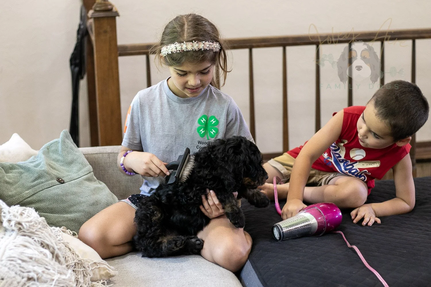 Bryce Bernedoodle Puppy-402.jpg