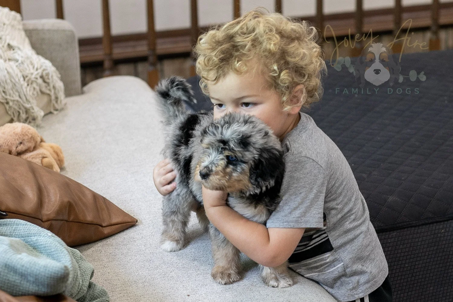 Mary Bernedoodle Puppy-306.jpg