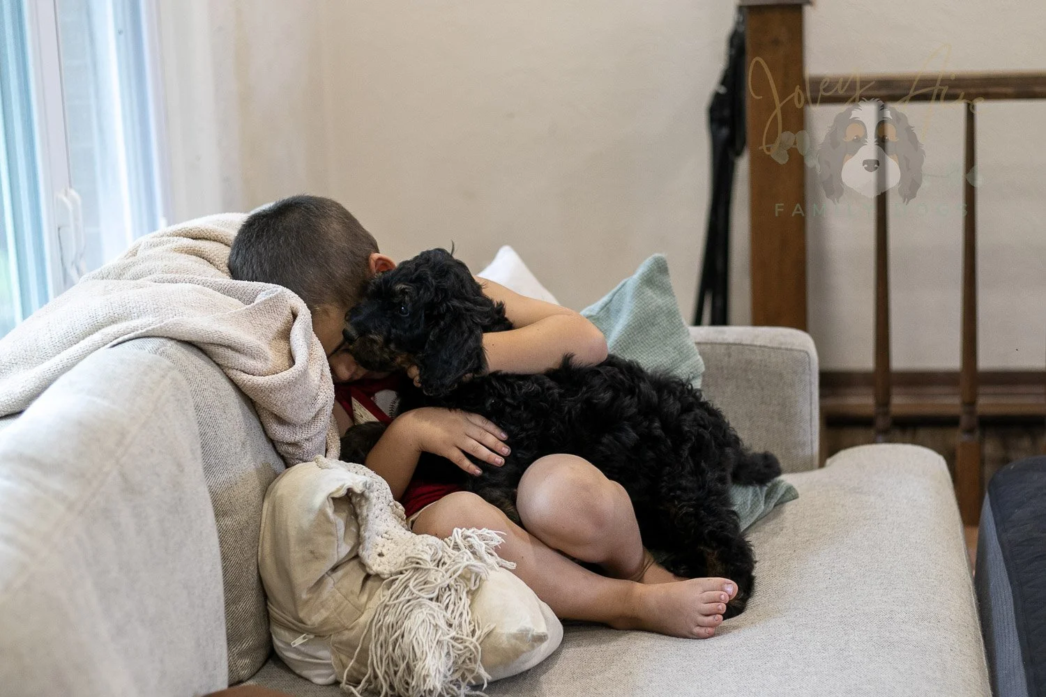 Bryce Bernedoodle Puppy-393.jpg