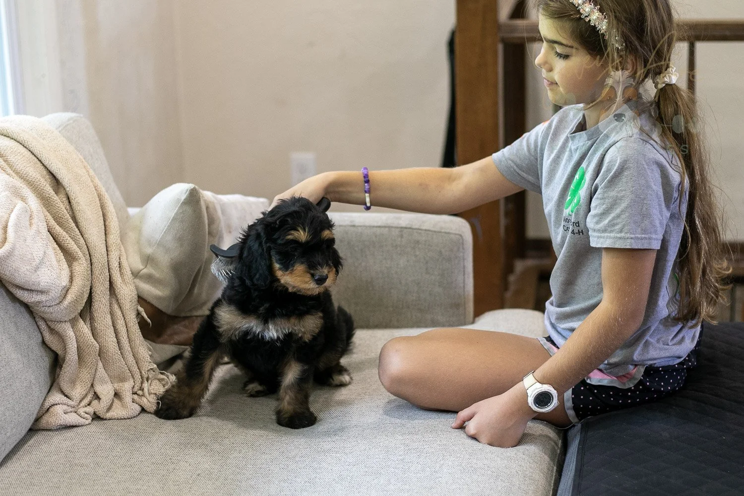Mini Mae Bernedoodle Puppy-368.jpg