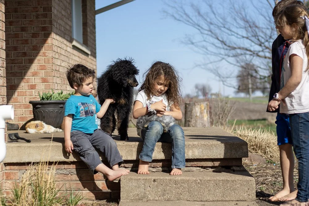 Pixie 5 months old-07.jpg