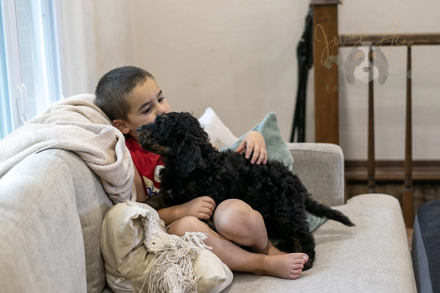 Bryce Bernedoodle Puppy-391.jpg