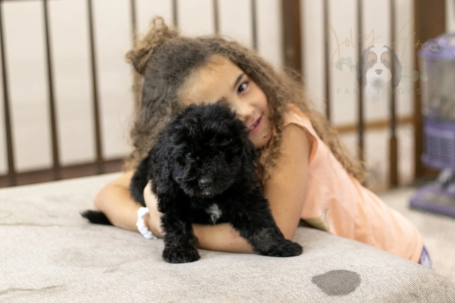 Claude Bernedoodle Puppy-256.jpg
