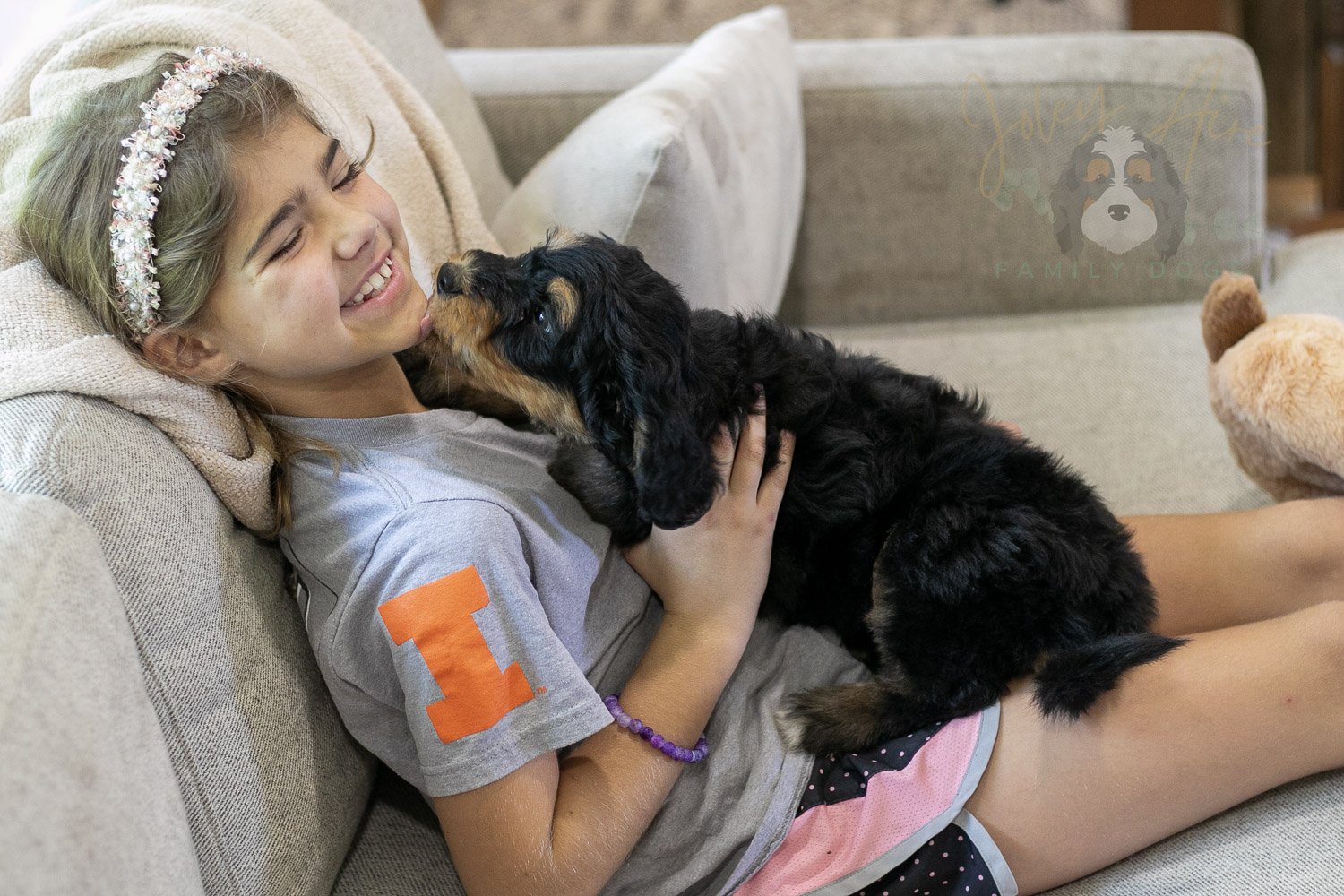 Mini Mae Bernedoodle Puppy-366.jpg