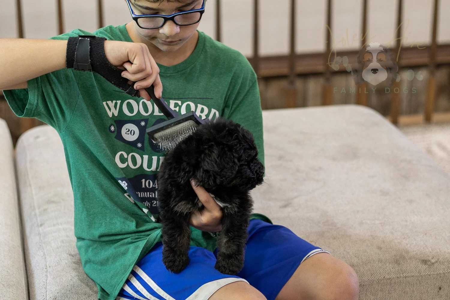 Andy Bernedoodle Puppy-295.jpg