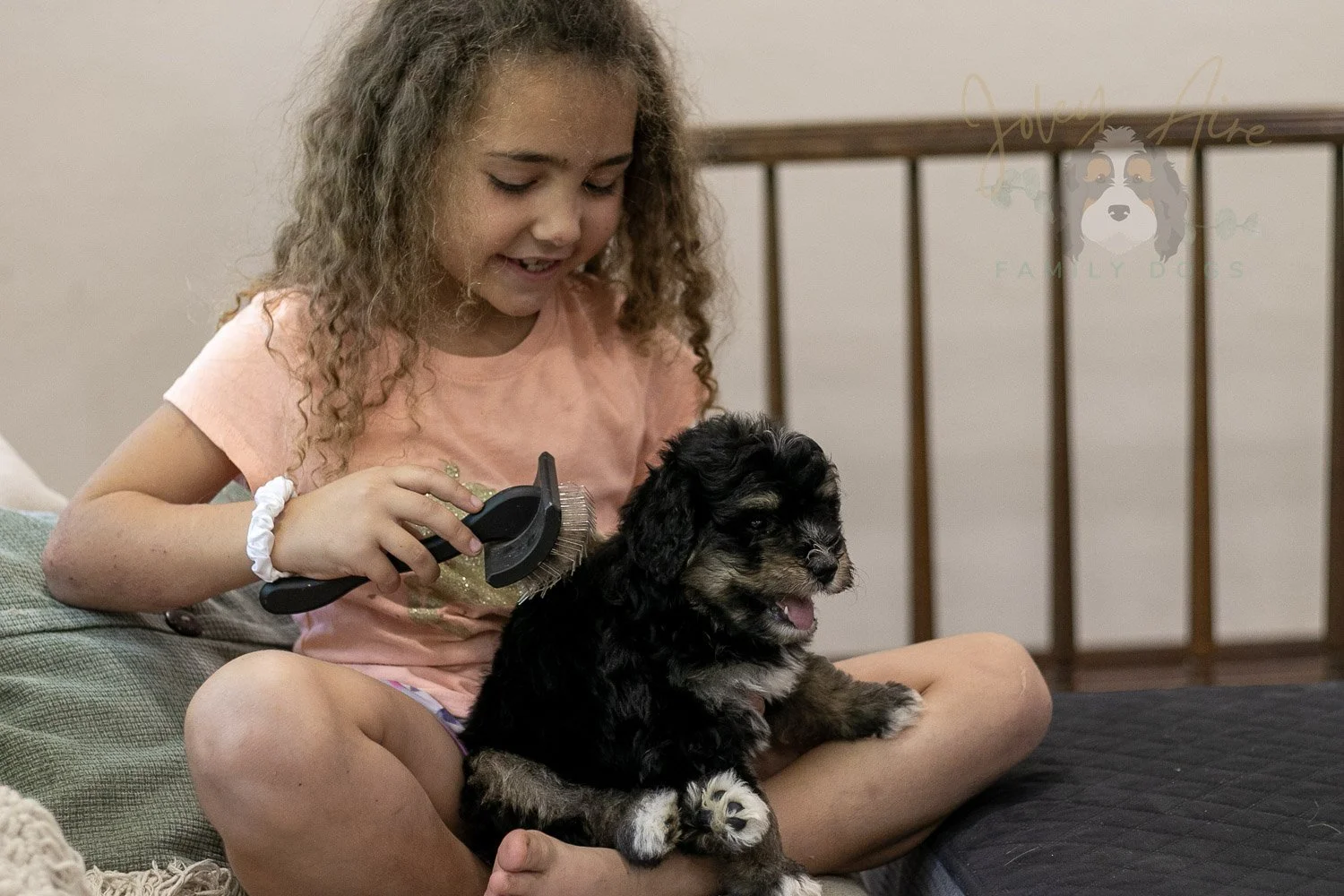 Georgia Bernedoodle Puppy-432.jpg