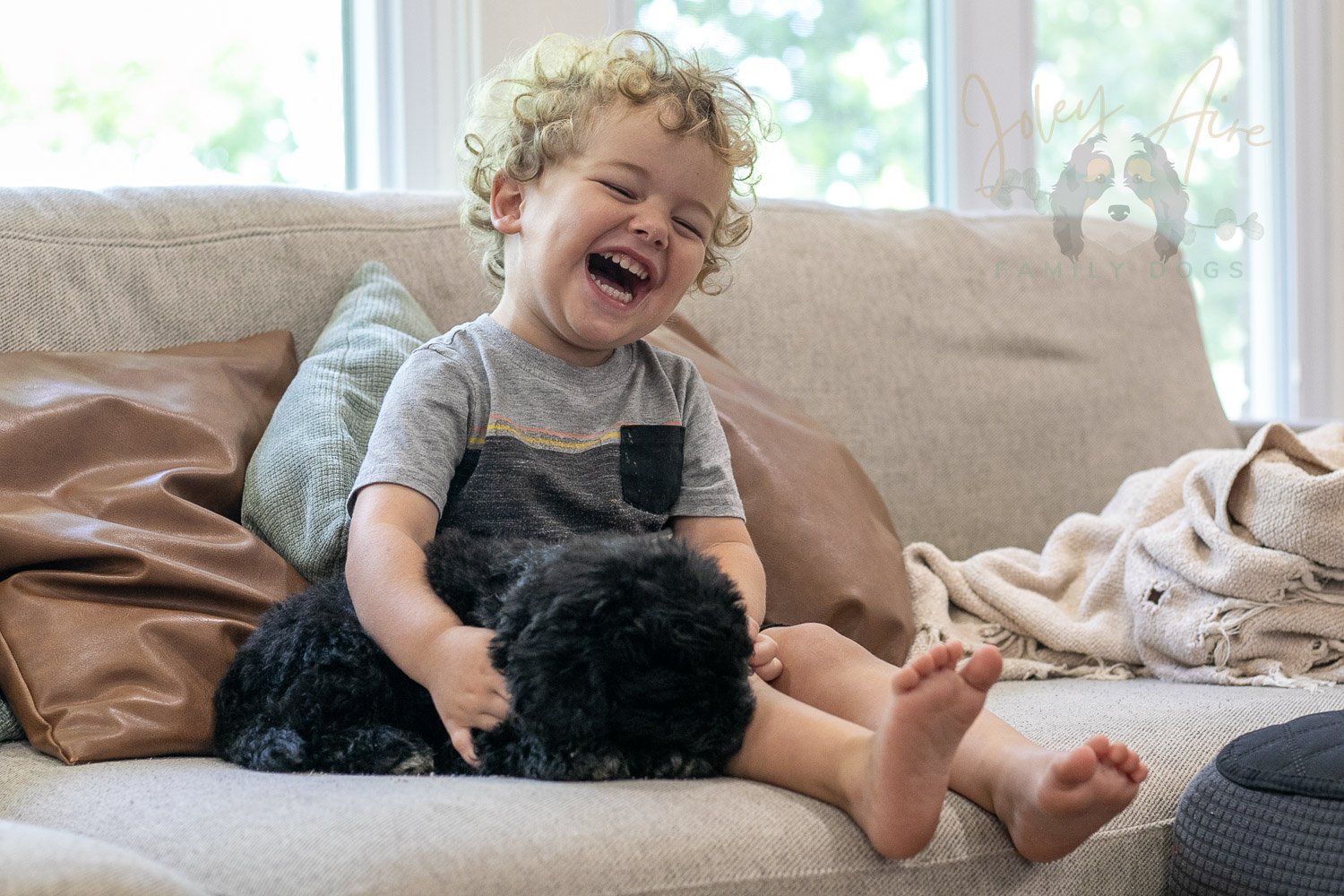 Claude Bernedoodle Puppy-233.jpg