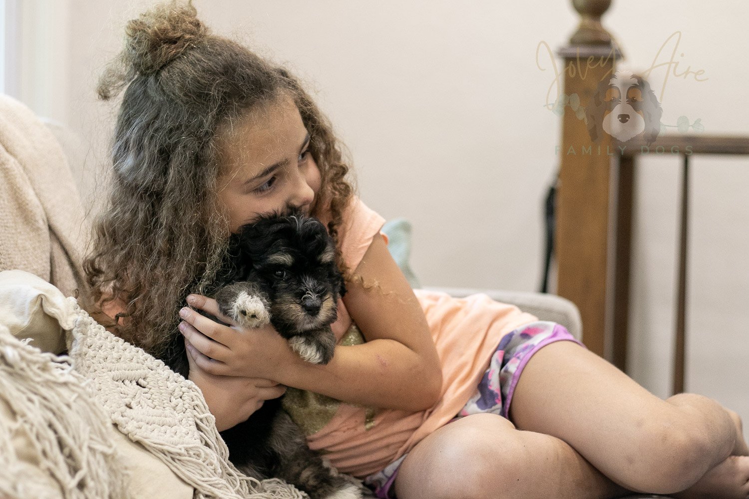 Georgia Bernedoodle Puppy-429.jpg