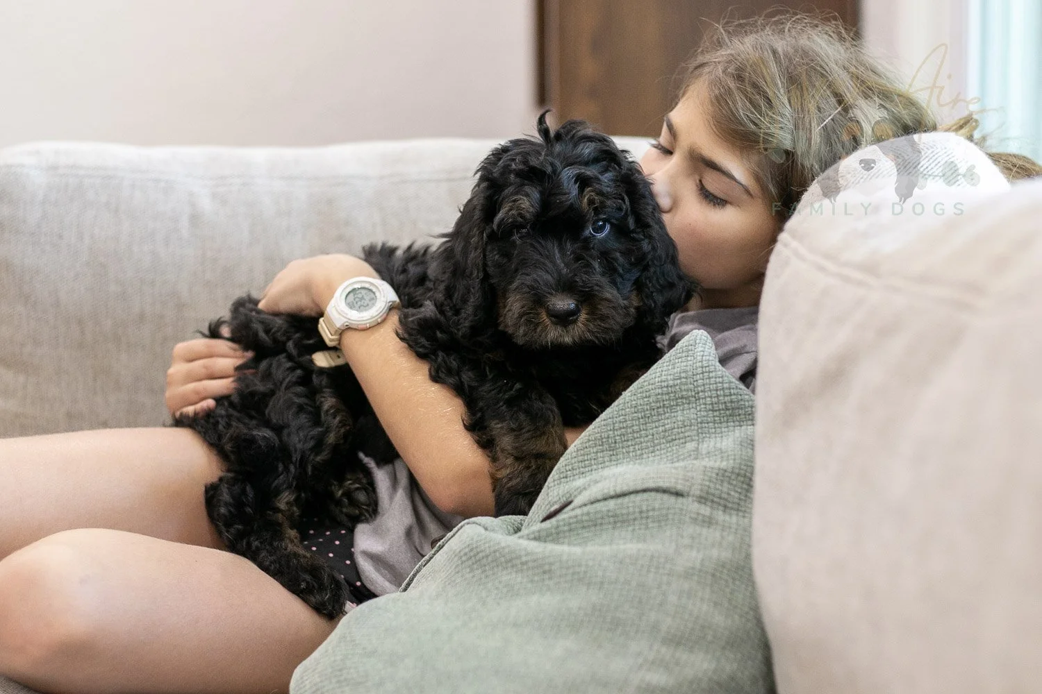 Acadia Bernedoodle Puppy-492.jpg