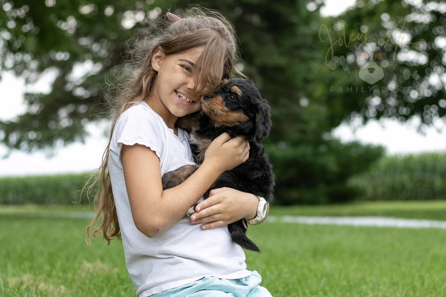 Mini Mae Bernedoodle Puppy-15.jpg