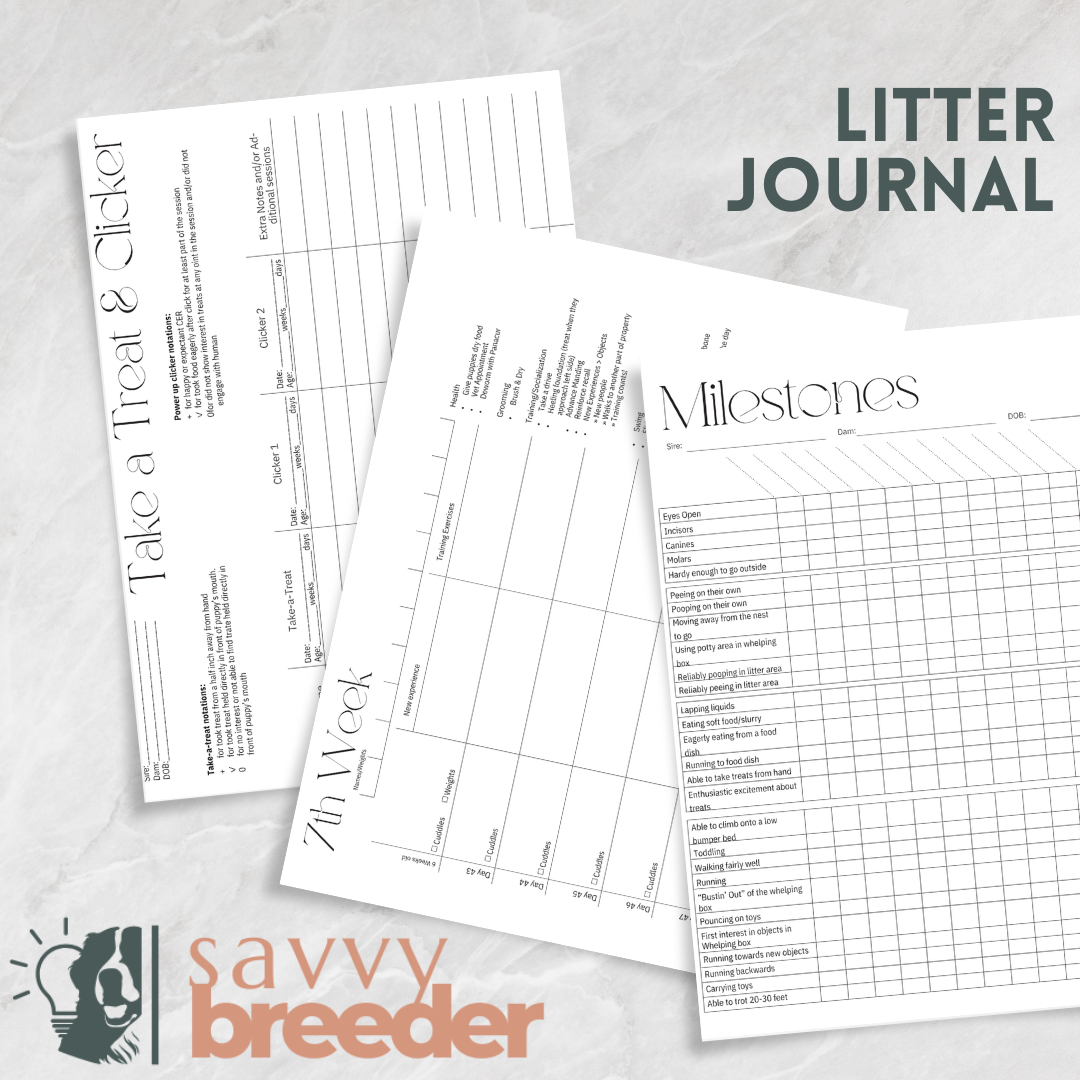 Litter journal pages.png