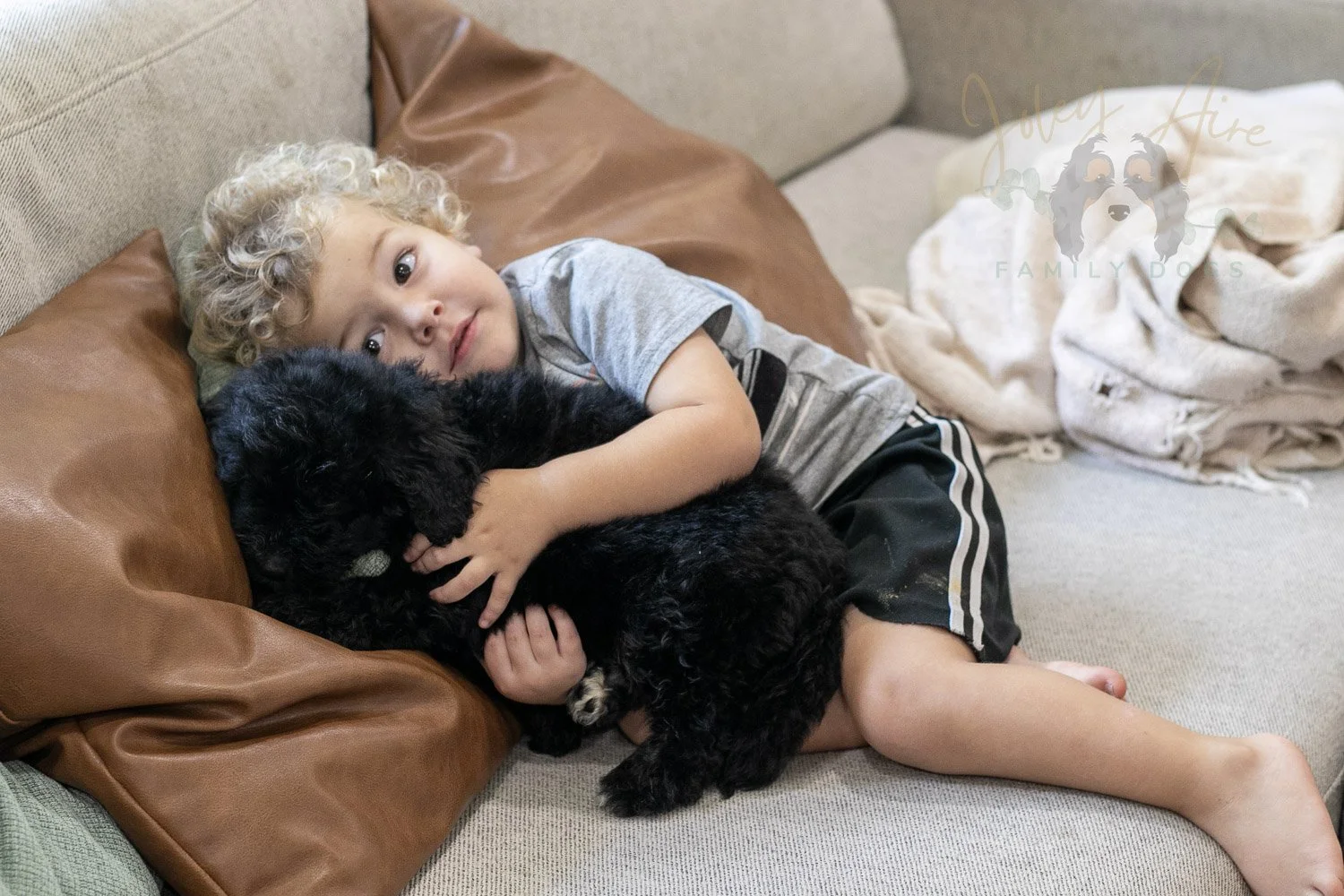 Claude Bernedoodle Puppy-236.jpg