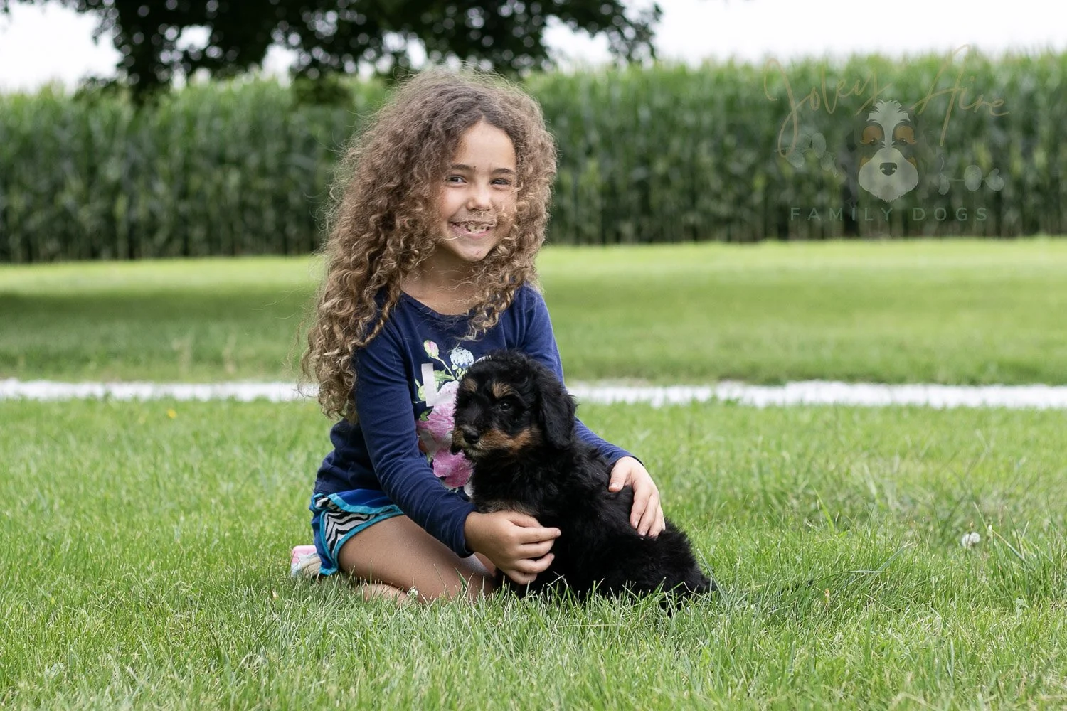 Gilbert Bernedoodle Puppy-47.jpg