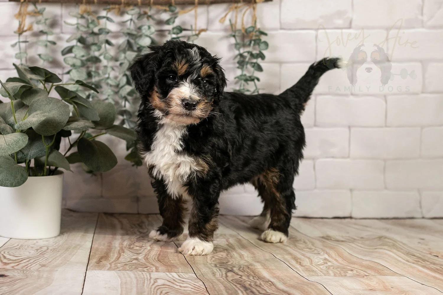 Hockey 🔴 Reserved