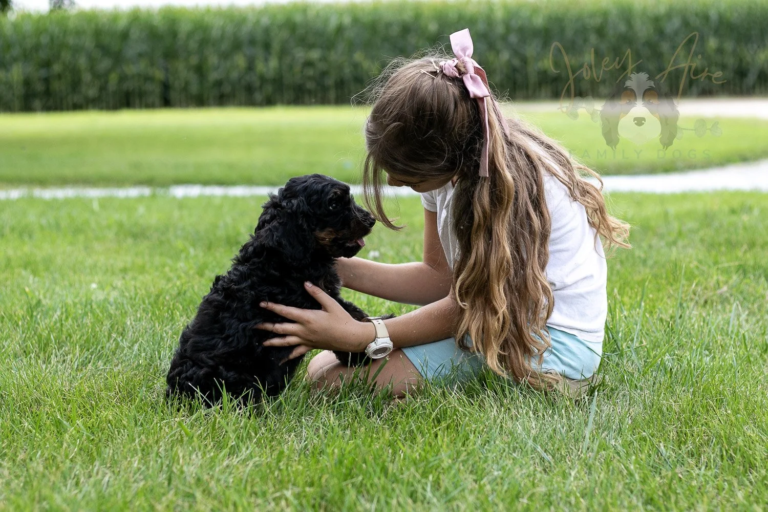 Bryce Bernedoodle Puppy-74.jpg