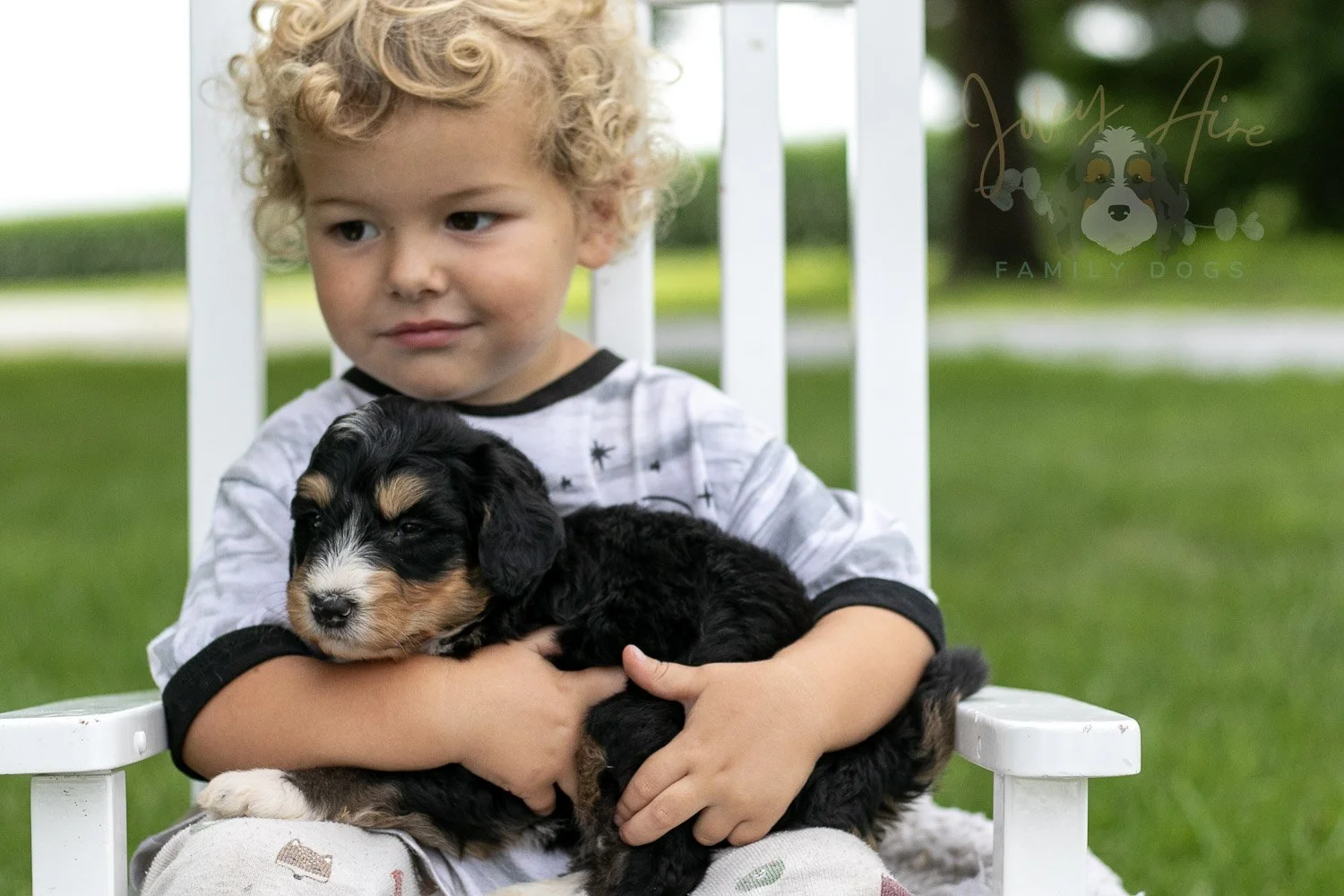 Walter Shirley Bernedoodle Puppy-885.jpg