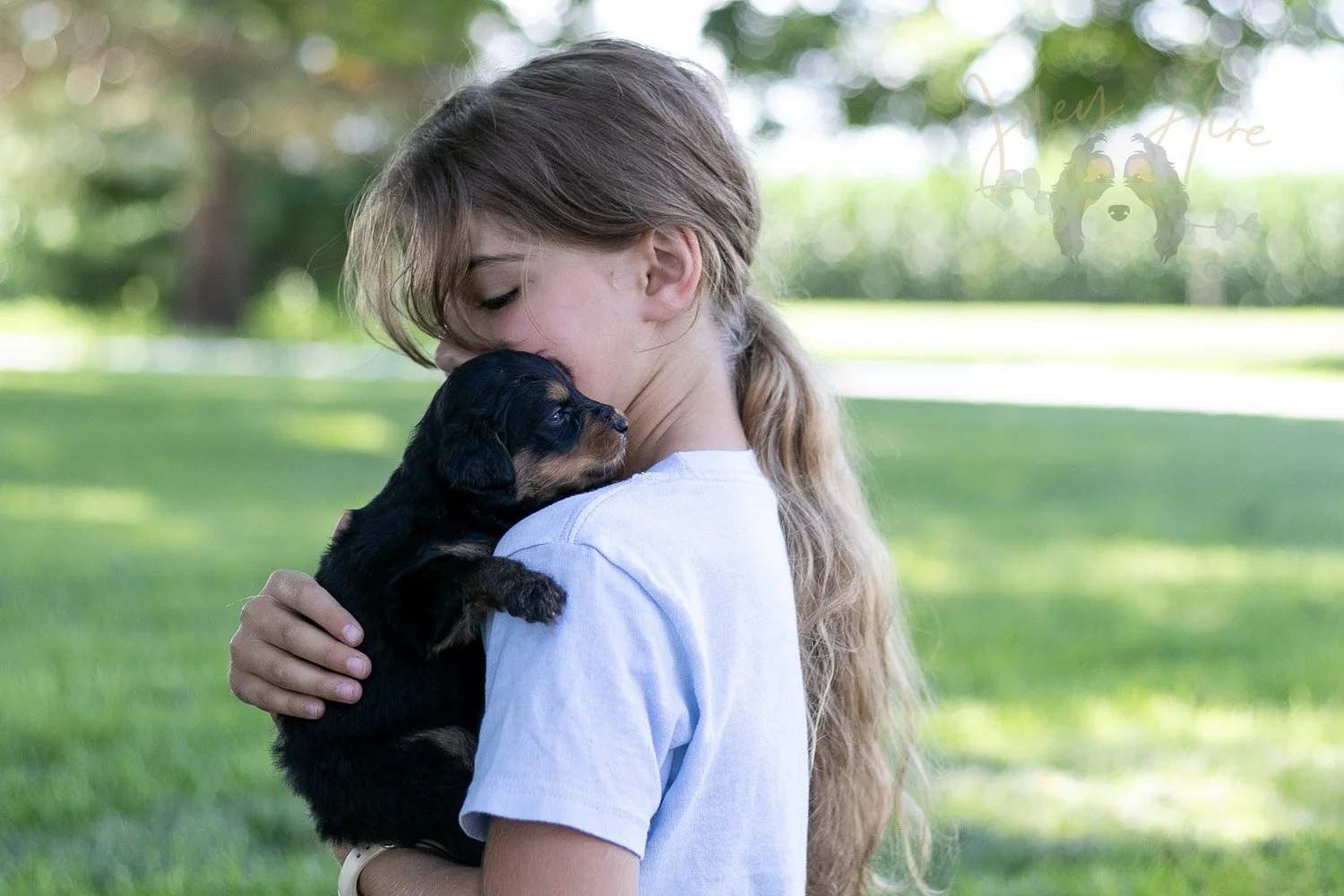 Mini Mae Bernedoodle Puppy-490.jpg