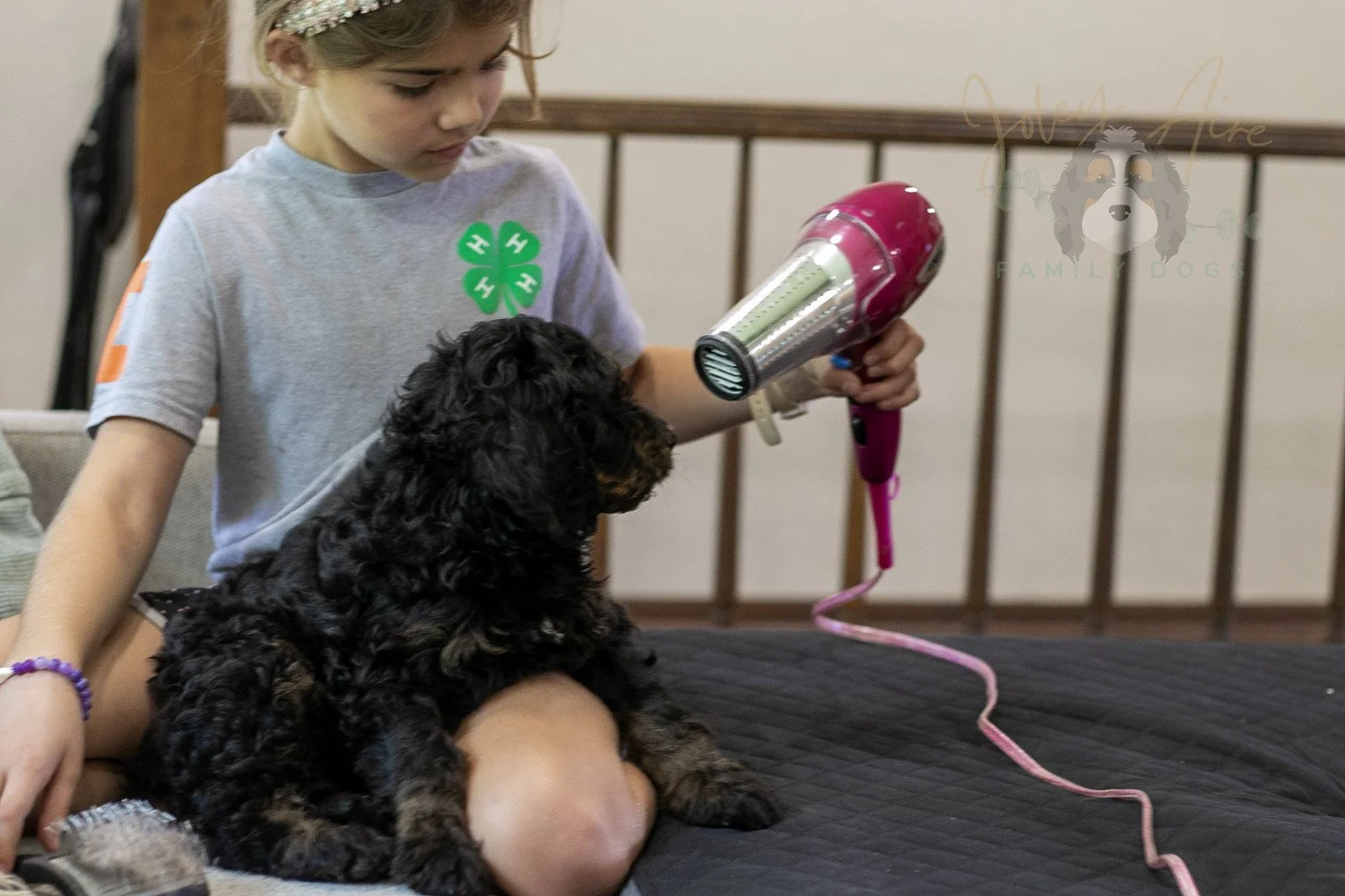 Bryce Bernedoodle Puppy-404.jpg