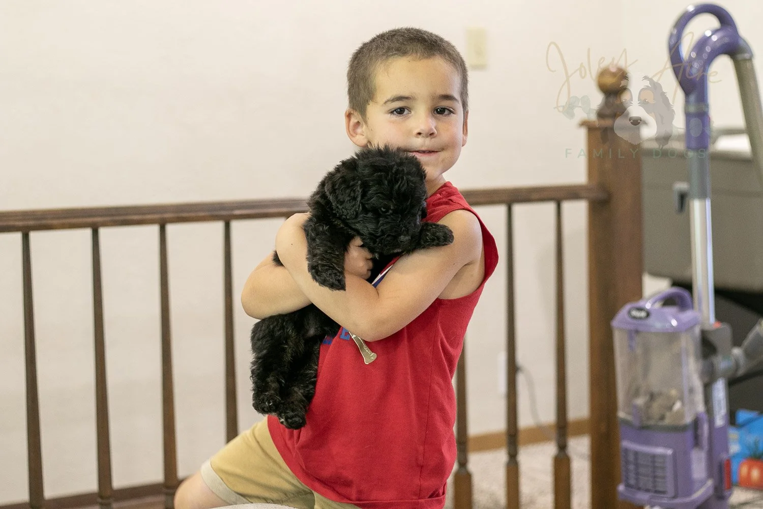 Andy Bernedoodle Puppy-278.jpg