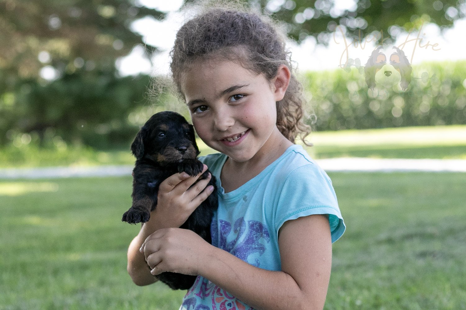 Zion Bernedoodle Puppy-339.jpg