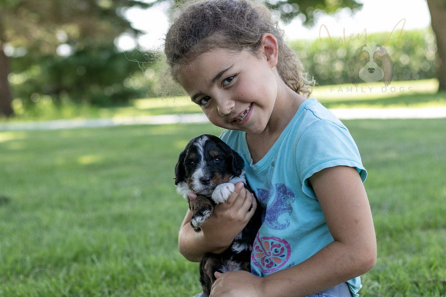 Yosemite Bernedoodle Puppy-368.jpg
