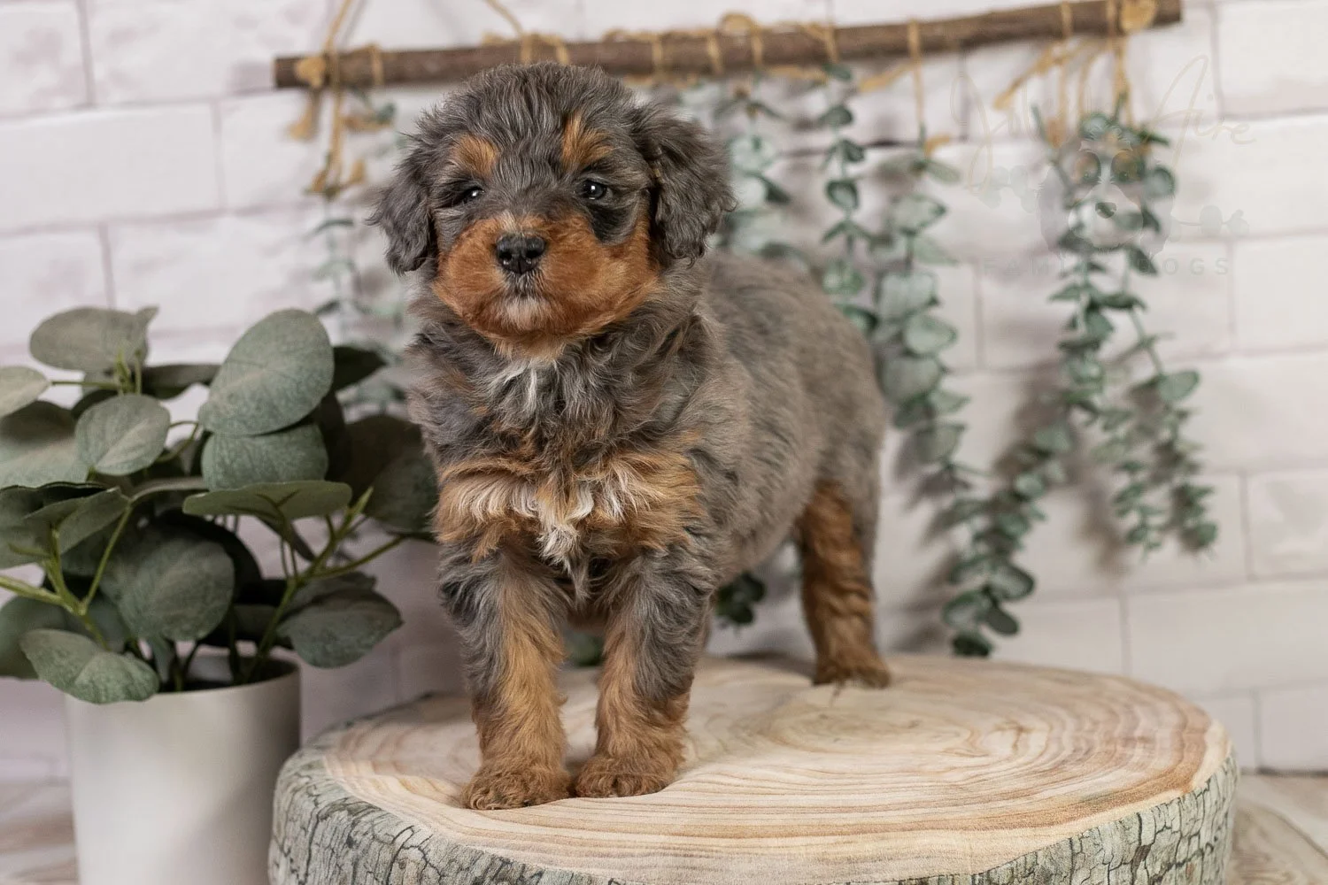 Summit 🔴 Reserved