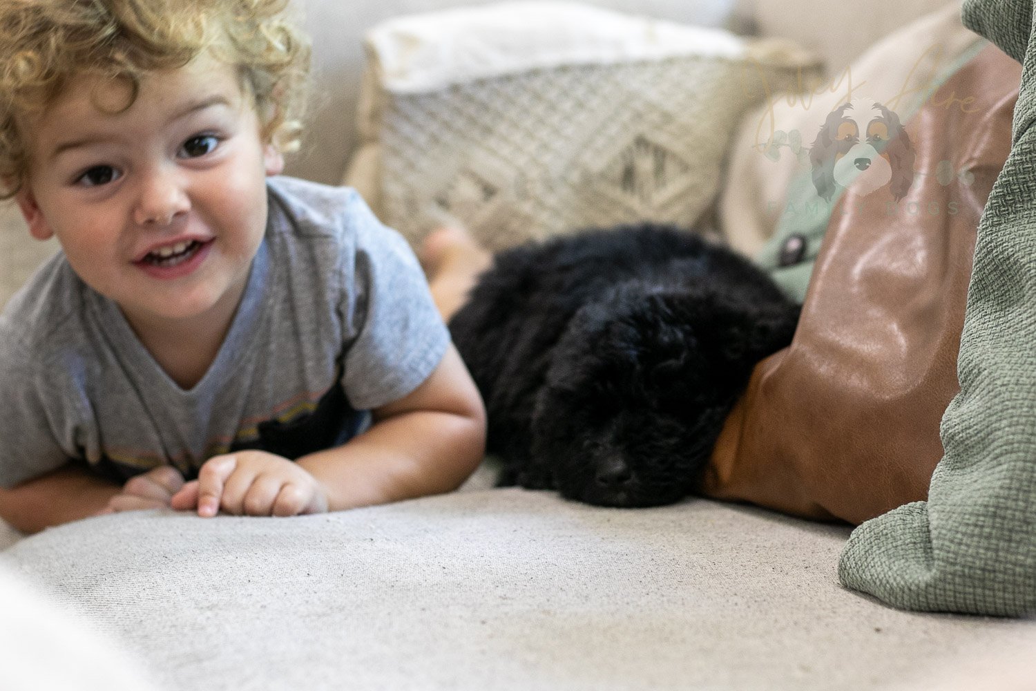 Claude Bernedoodle Puppy-230.jpg