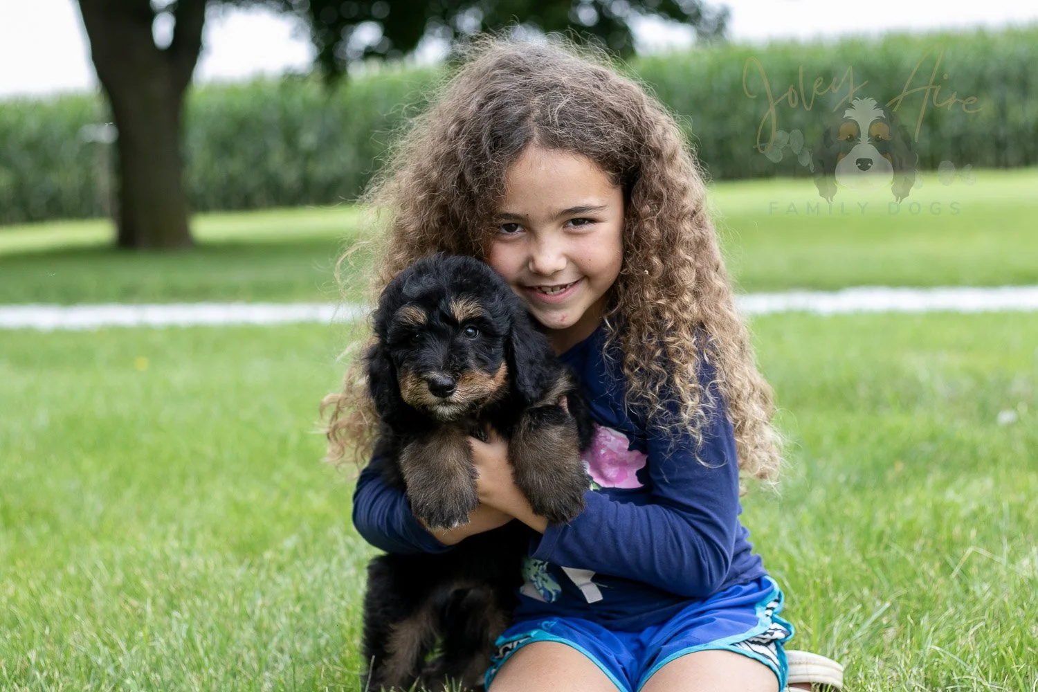 Gilbert Bernedoodle Puppy-50.jpg