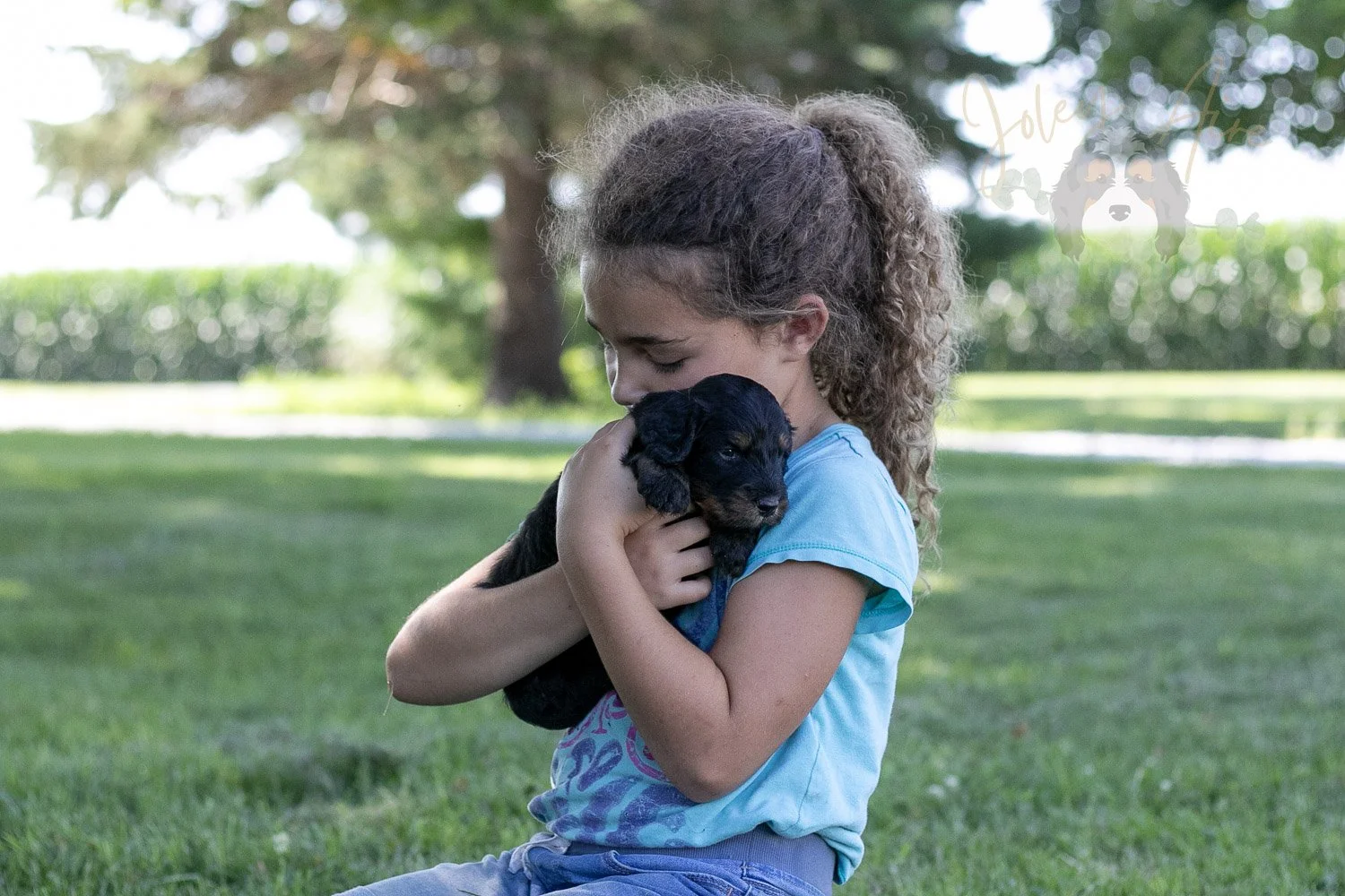 Zion Bernedoodle Puppy-345.jpg