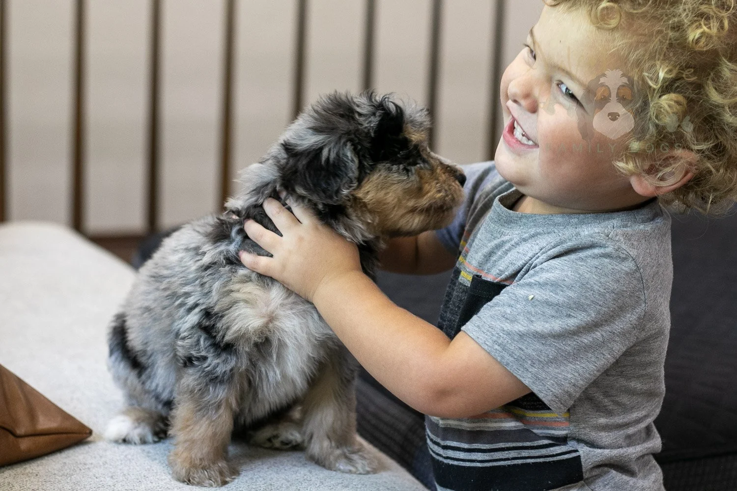 Mary Bernedoodle Puppy-305.jpg